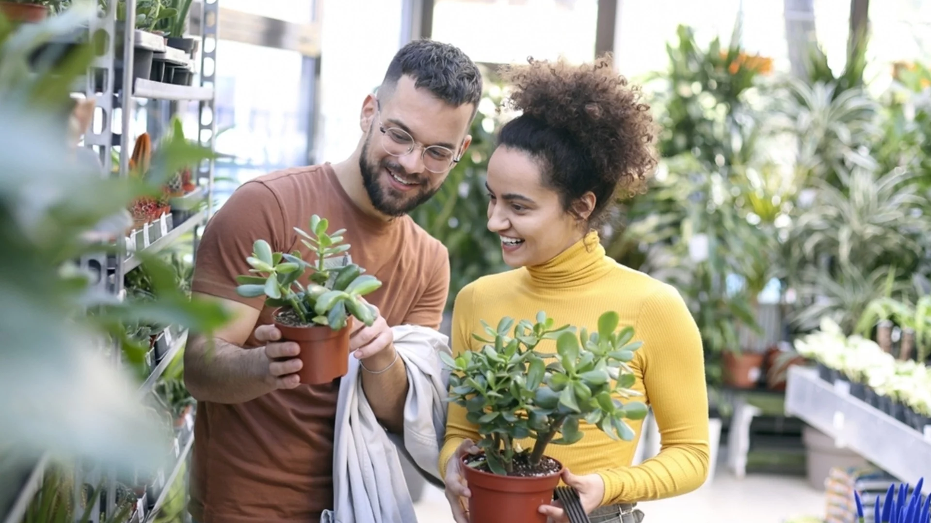 Фън Шуй разкрива „мъртвите зони“ и къде се събужда силата на паричното дърво