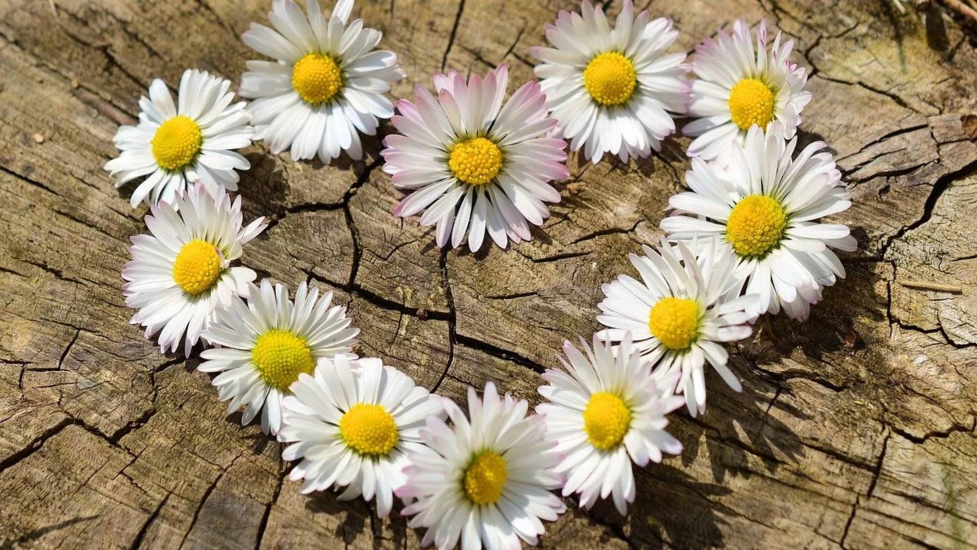 НИМХ с предупреждение за опасност. Времето утре - 21 март 2026 г. (КАРТА)