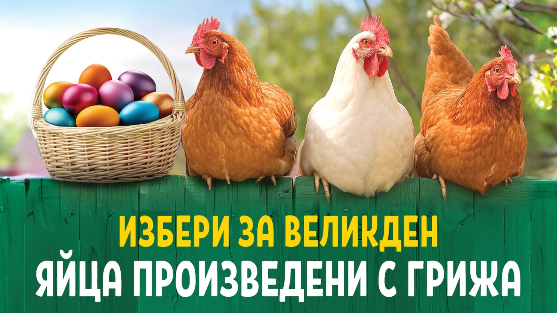 И за Великден BILLA ще предлага яйца само от подово и свободно отглеждани кокошки