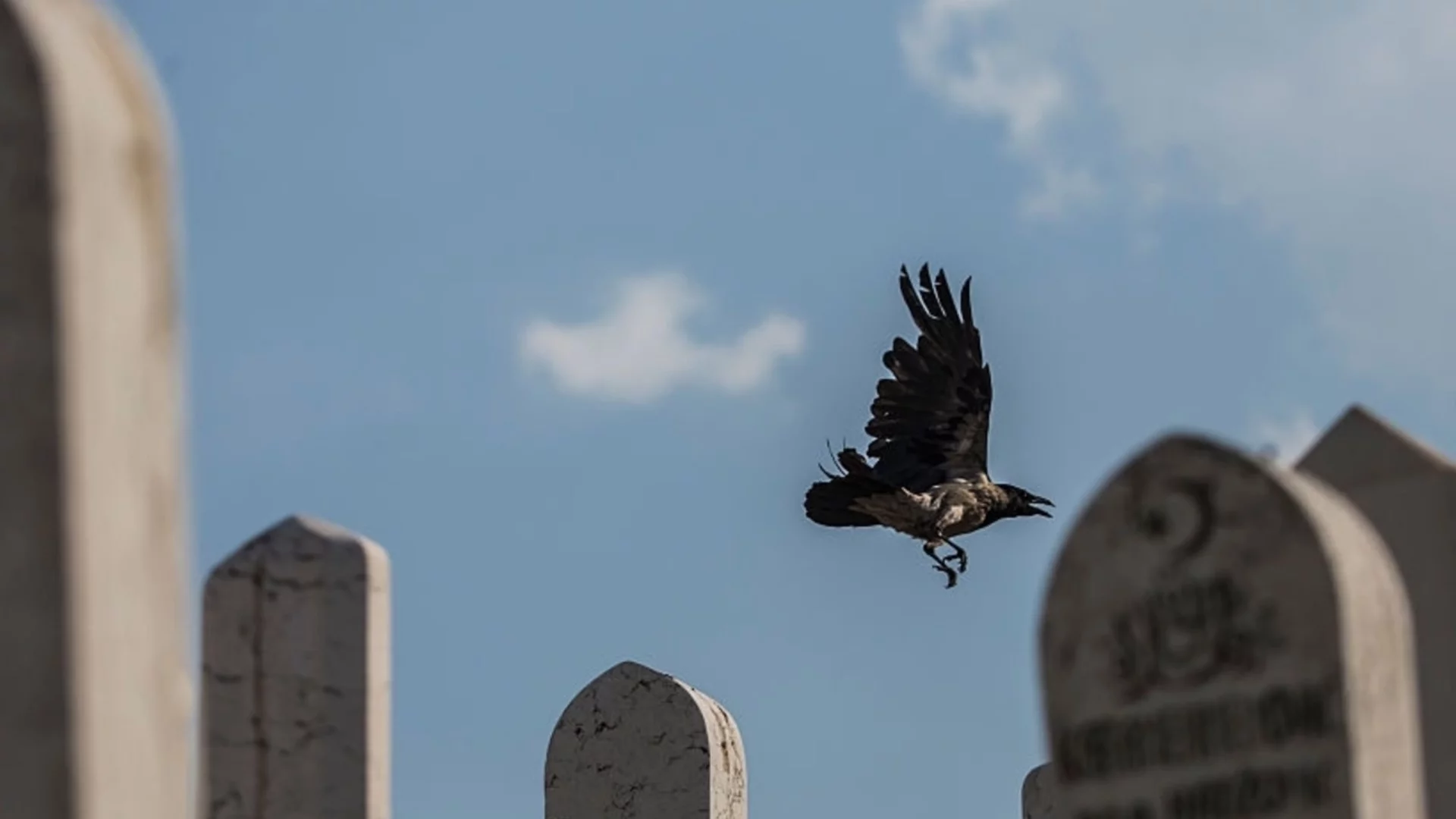 "Основната ни задача беше да преброим убитите жертви": Още разкази за "Сараевското сафари"