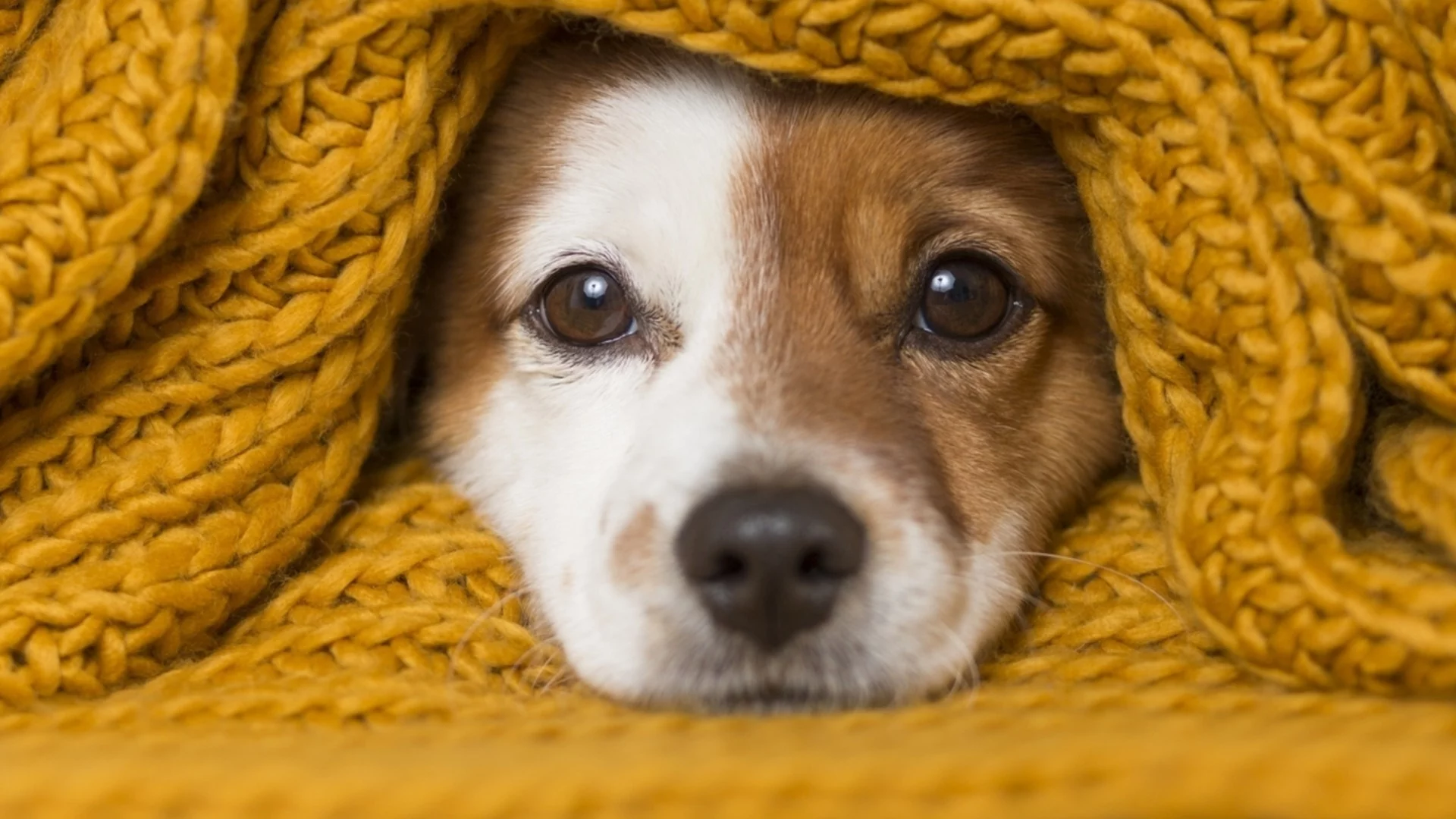 Седмична прогноза за времето за 23-29 март 2025 г. 