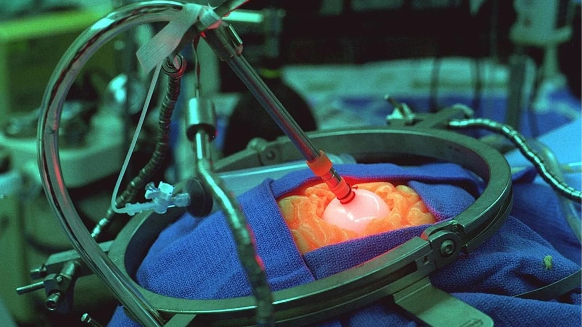 Забележително: Учени направиха първа стъпка към безсмъртие? 