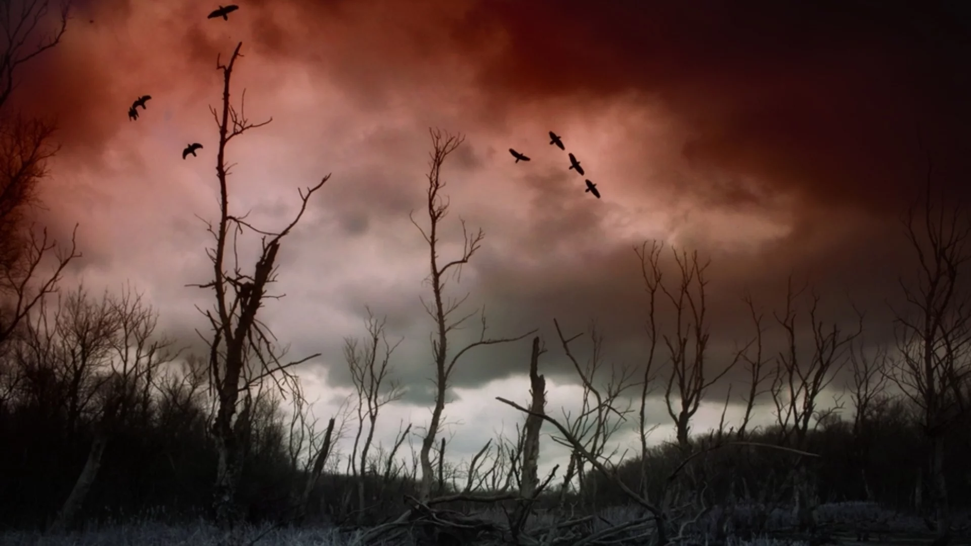 Трета световна война - в кои държави да се спасим