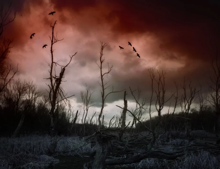 Трета световна война - в кои държави да се спасим