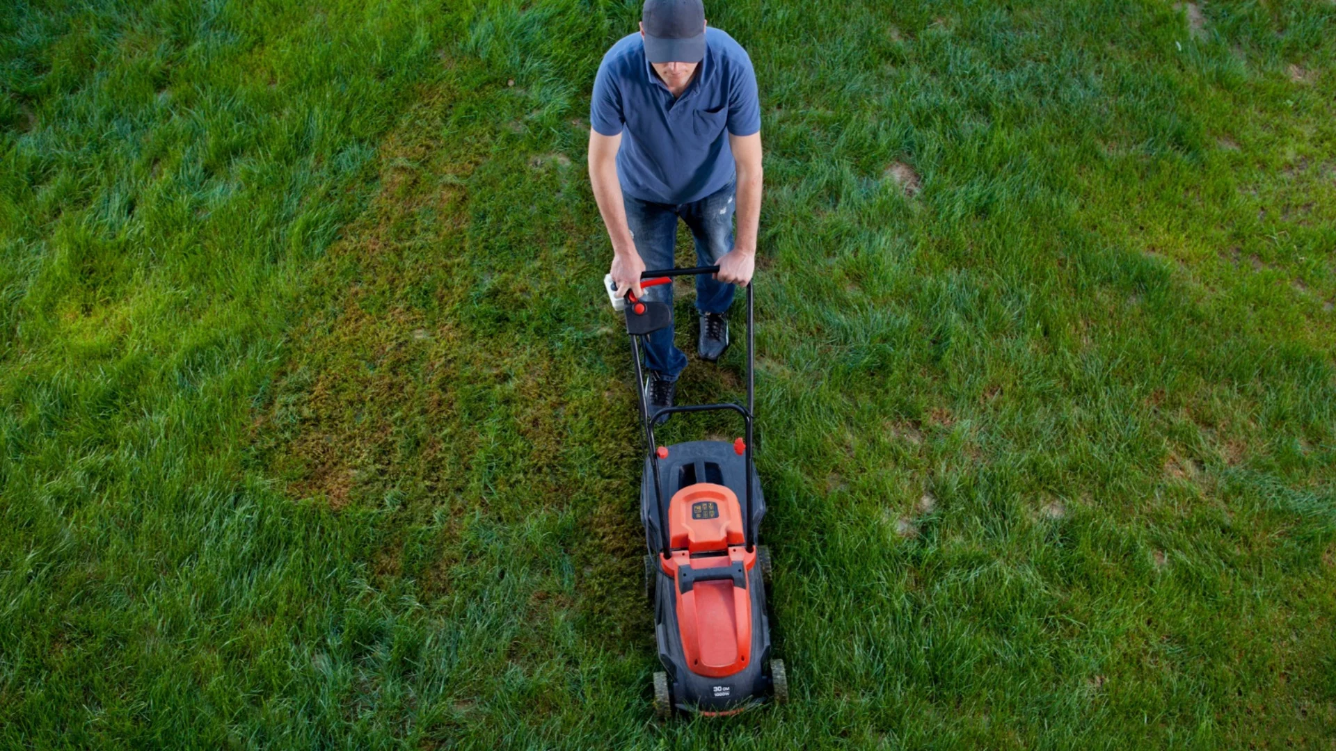 Кои са практичните инструменти за оформяне на тревните площи?