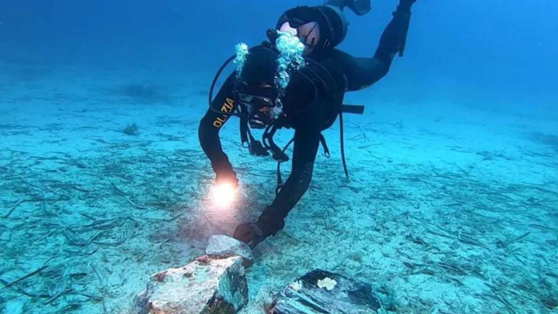 Учени откриха мистериозни черни яйца на дъното на Тихия океан