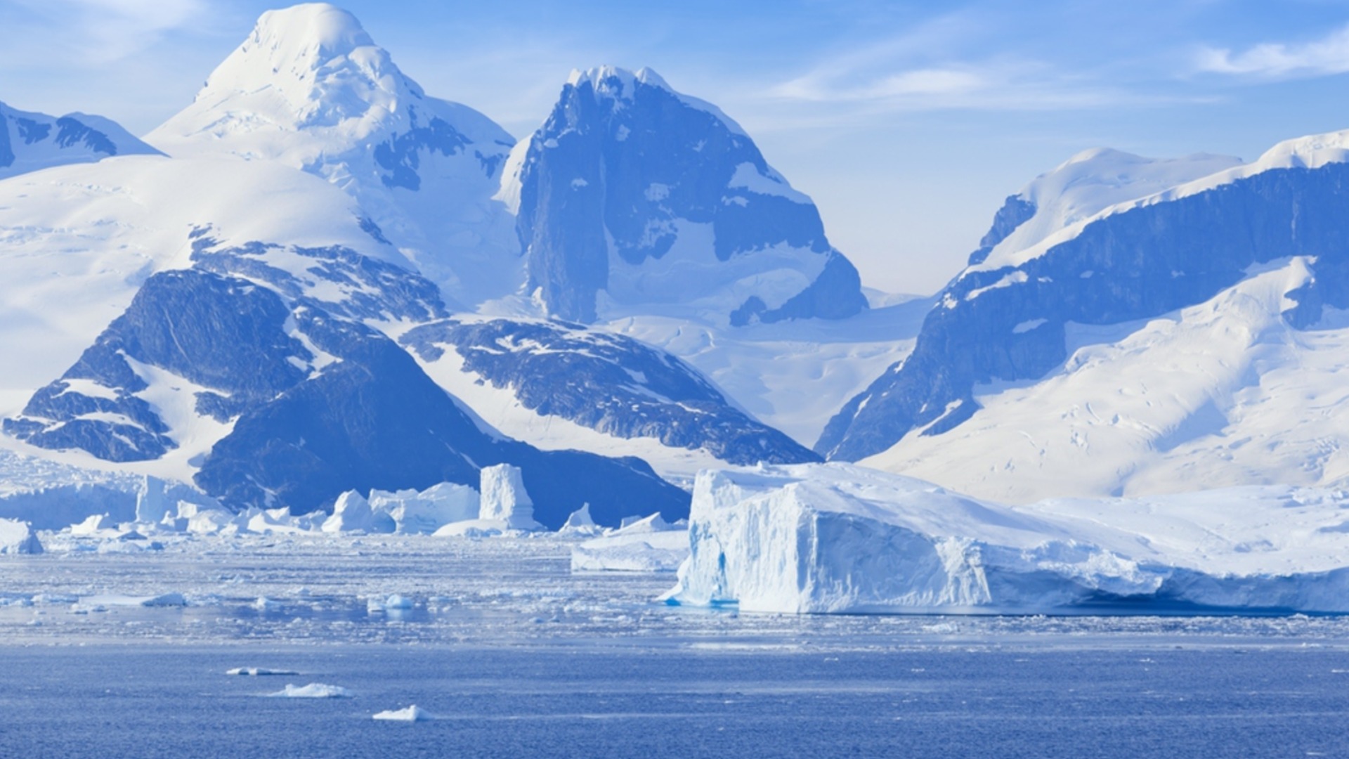 Огромно яйце на неизвестно същество е открито в Антарктида