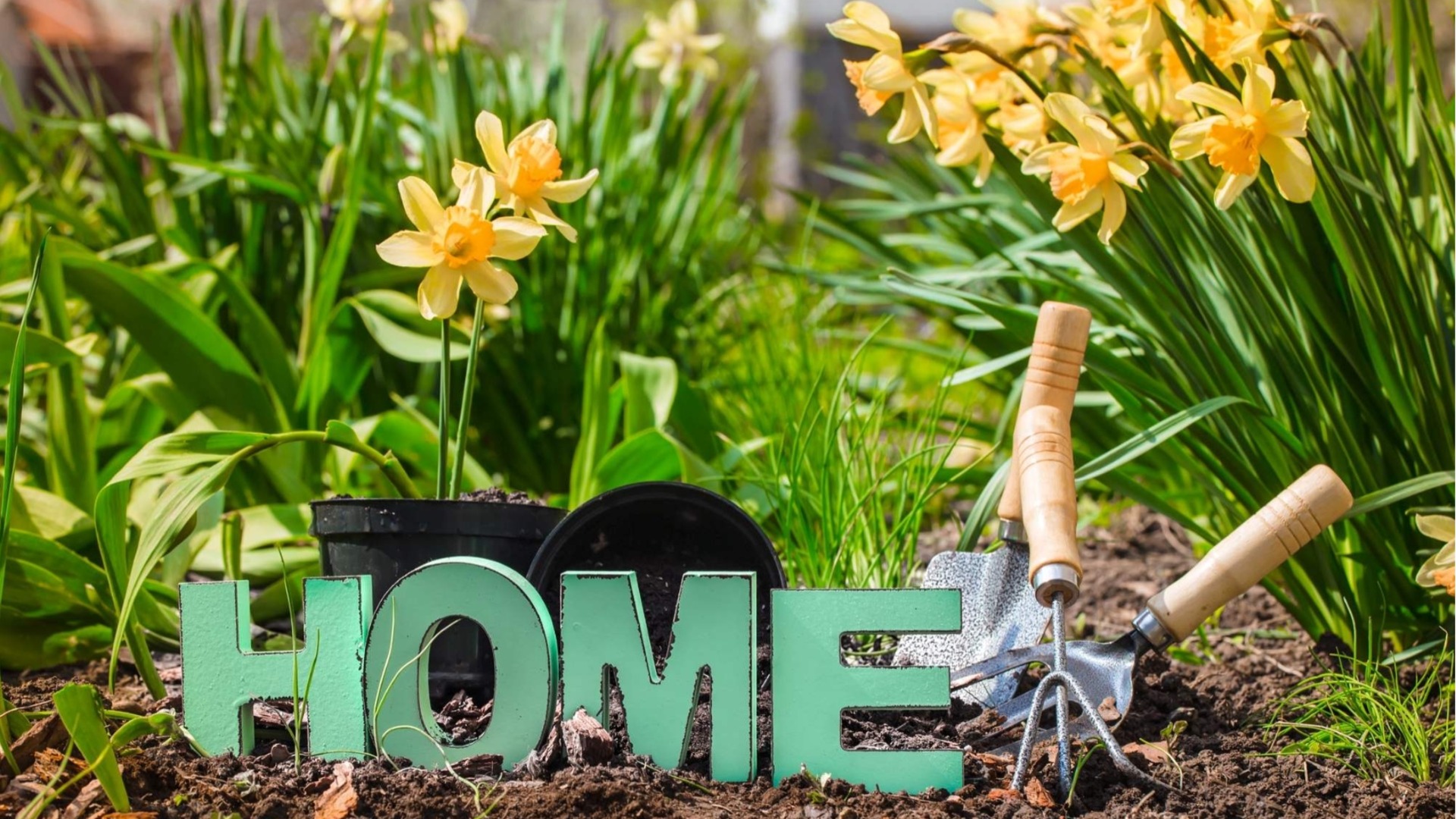 Мисия: Цветна градина. Всичко необходимо е в Kaufland!