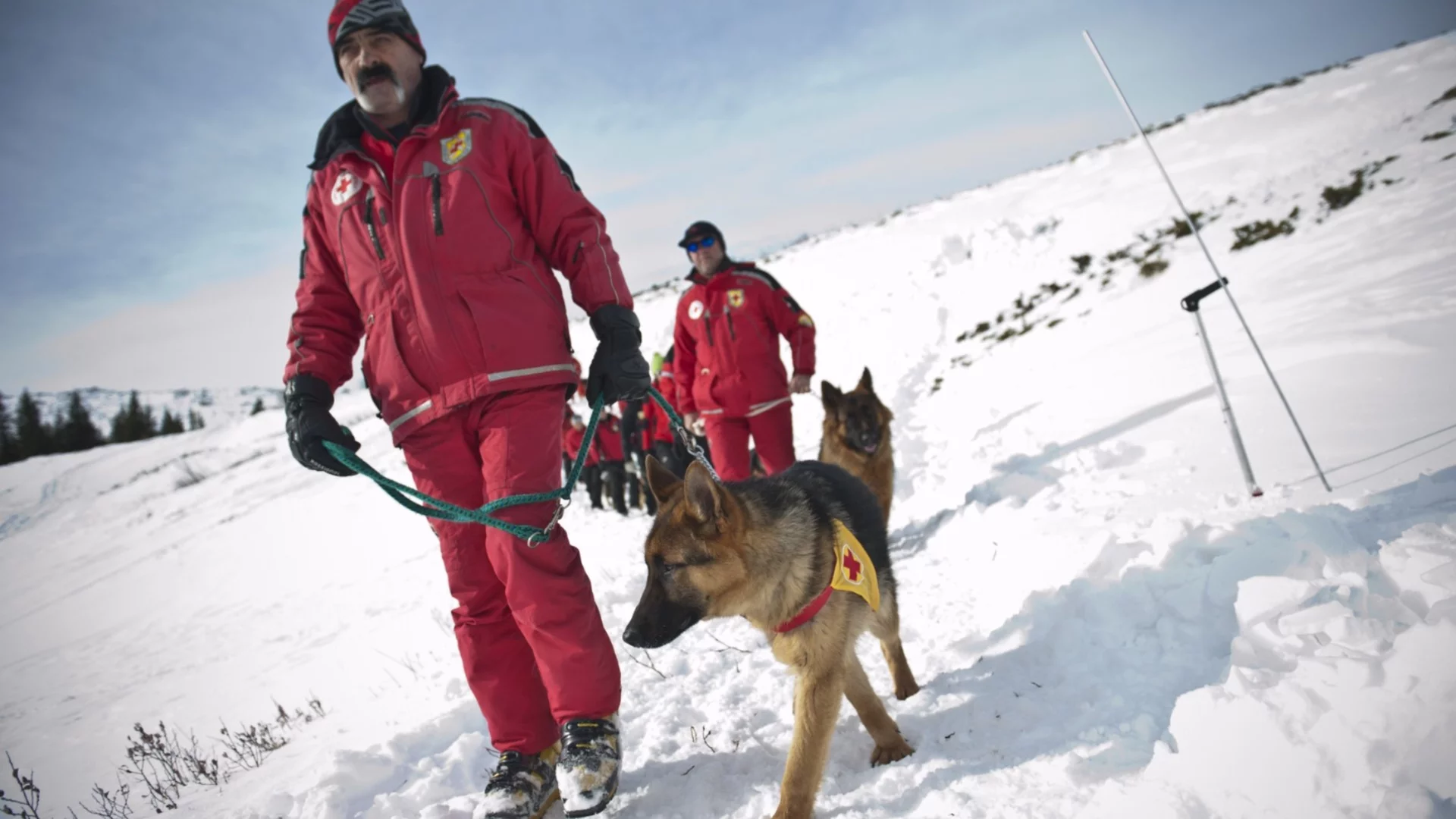 Спасиха четирима младежи в планината