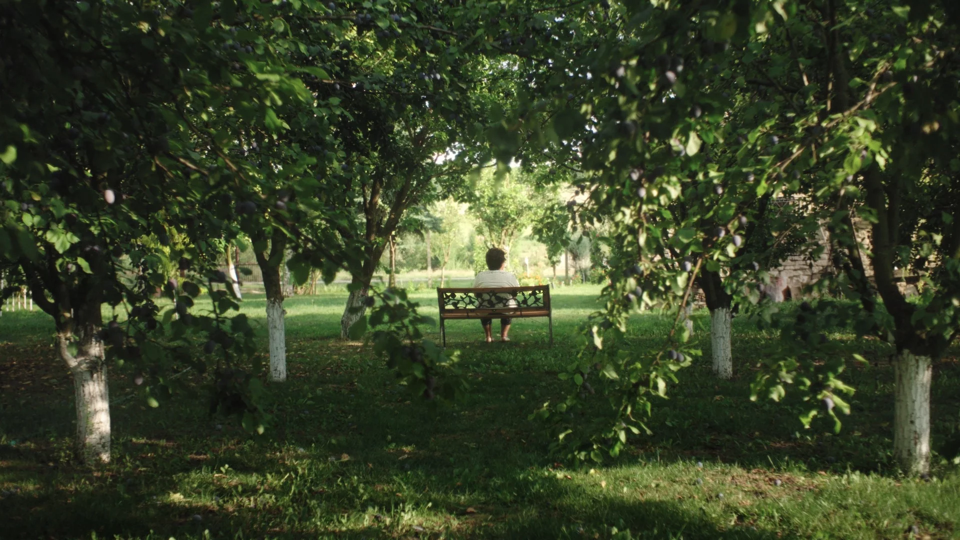 Дебютният документален филм "Няма как да си кажем сбогом" на Пламена Славчева с премиера на София Филм Фест