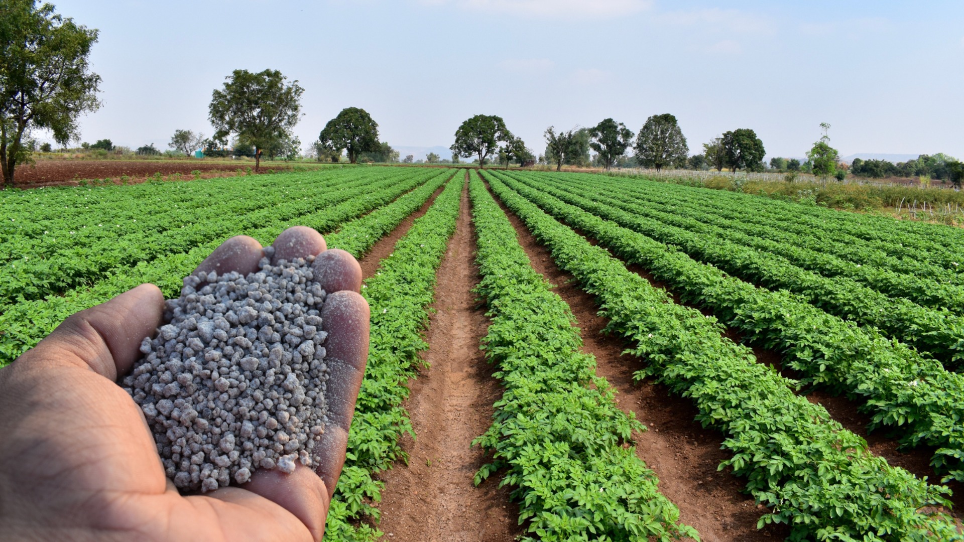 100% ръст в цените: Обвинения, че двата големи завода за торове у нас умишлено задържат стоката си