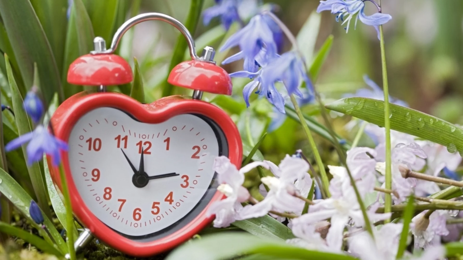 Връщаме часовниците назад в неделя - как се отразява на здравето ни