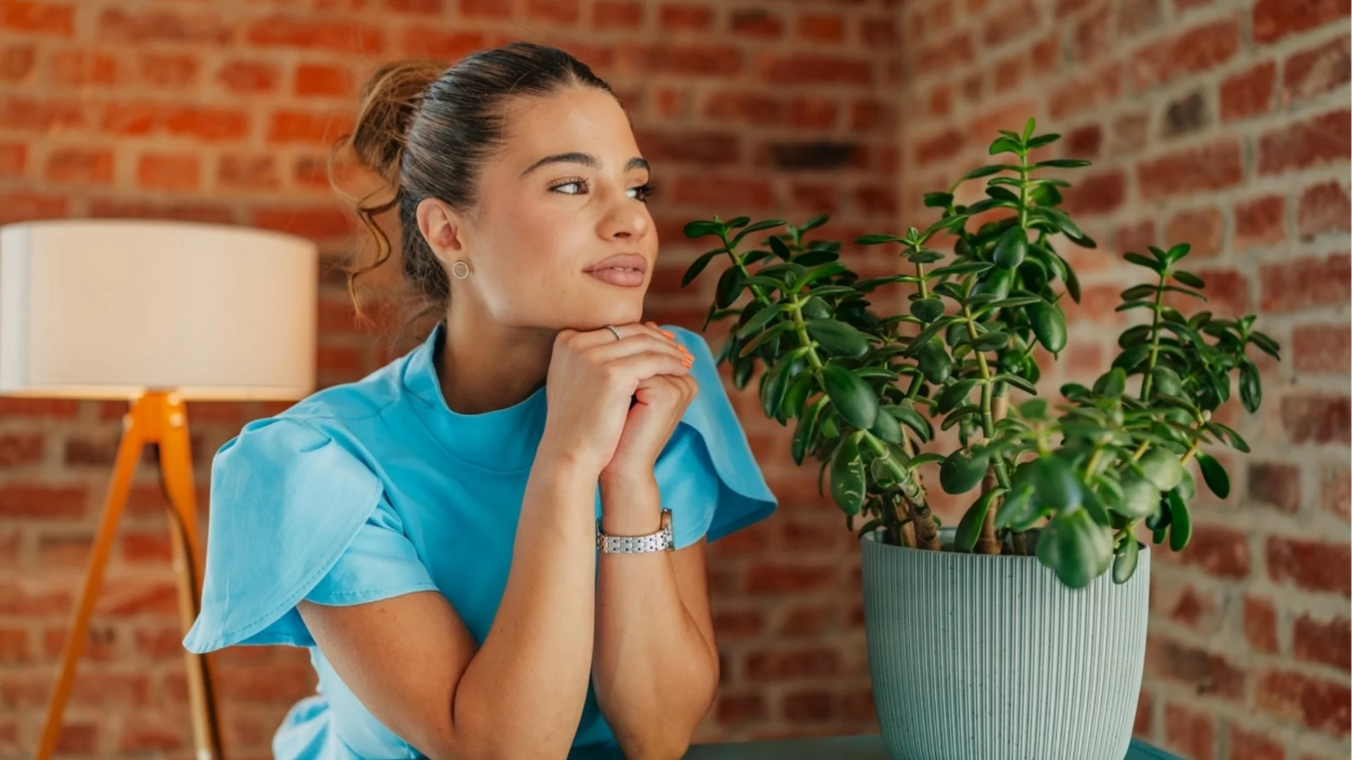 4 растения привличат късмет в дома: Две са символ на успех и радост, едното блокира негативизма, а това - призовава пари