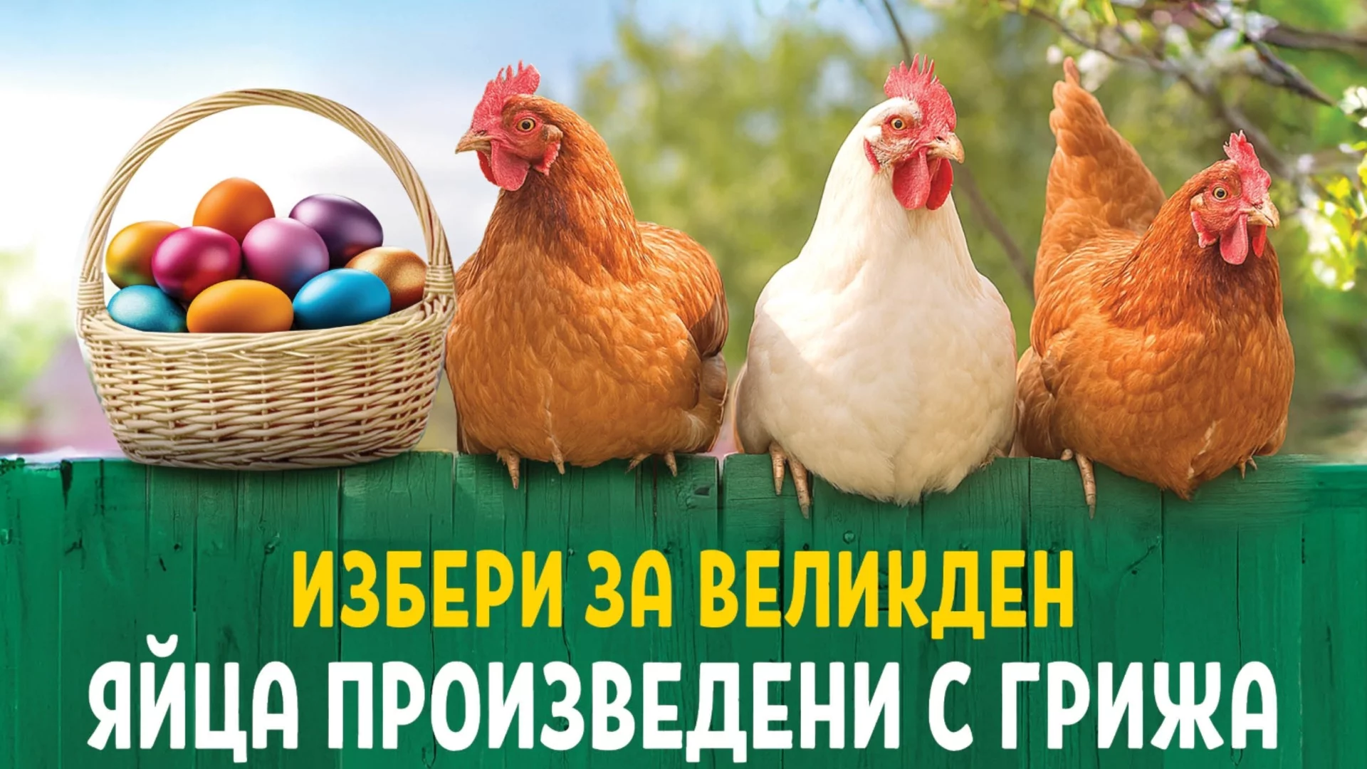 И за Великден BILLA ще предлага яйца само от подово и свободно отглеждани кокошки