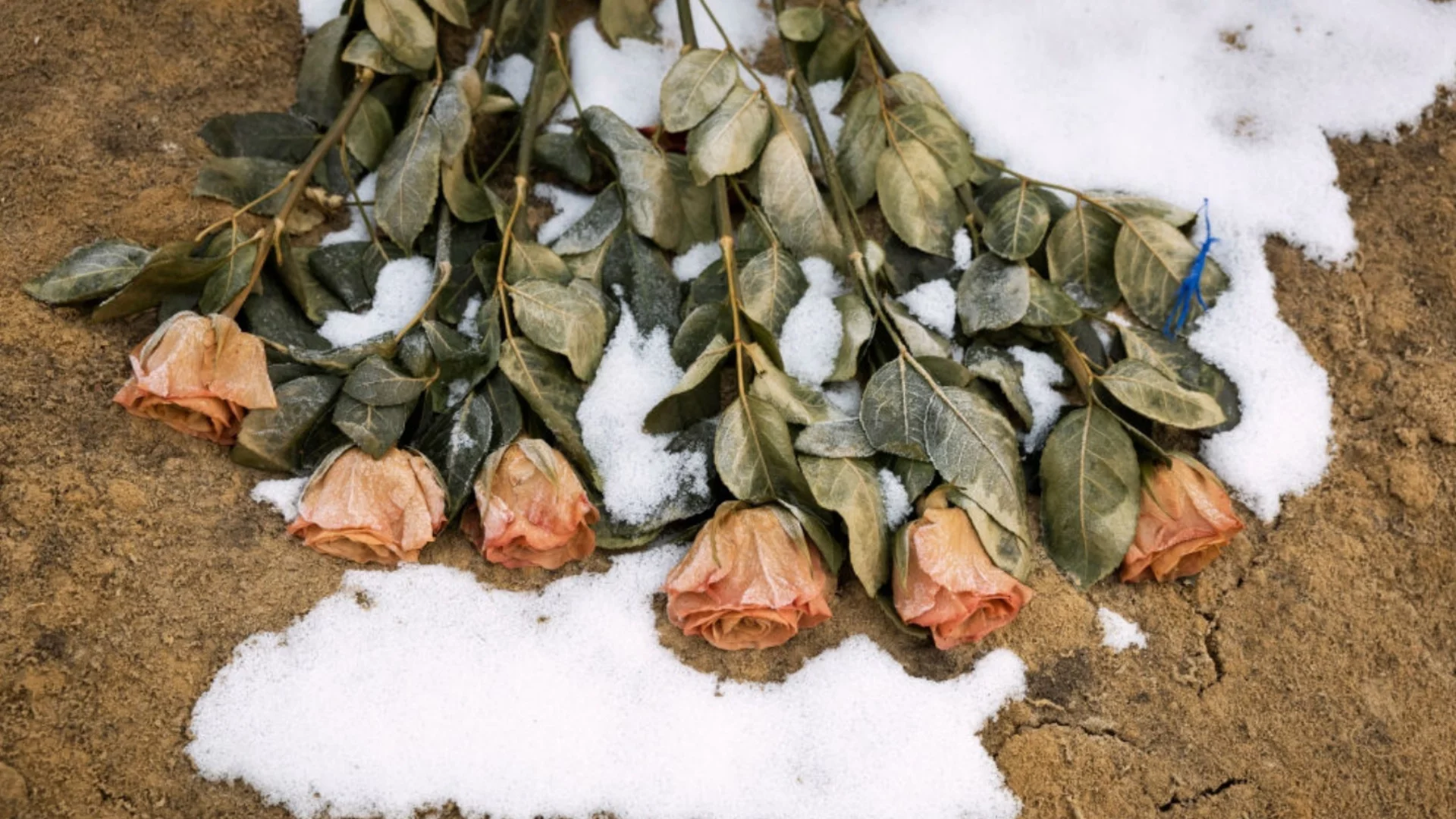 Русия не смогва с гробищата, обаче се цели в НАТО – дрон се взриви в Литва (ОБЗОР - ВИДЕО)