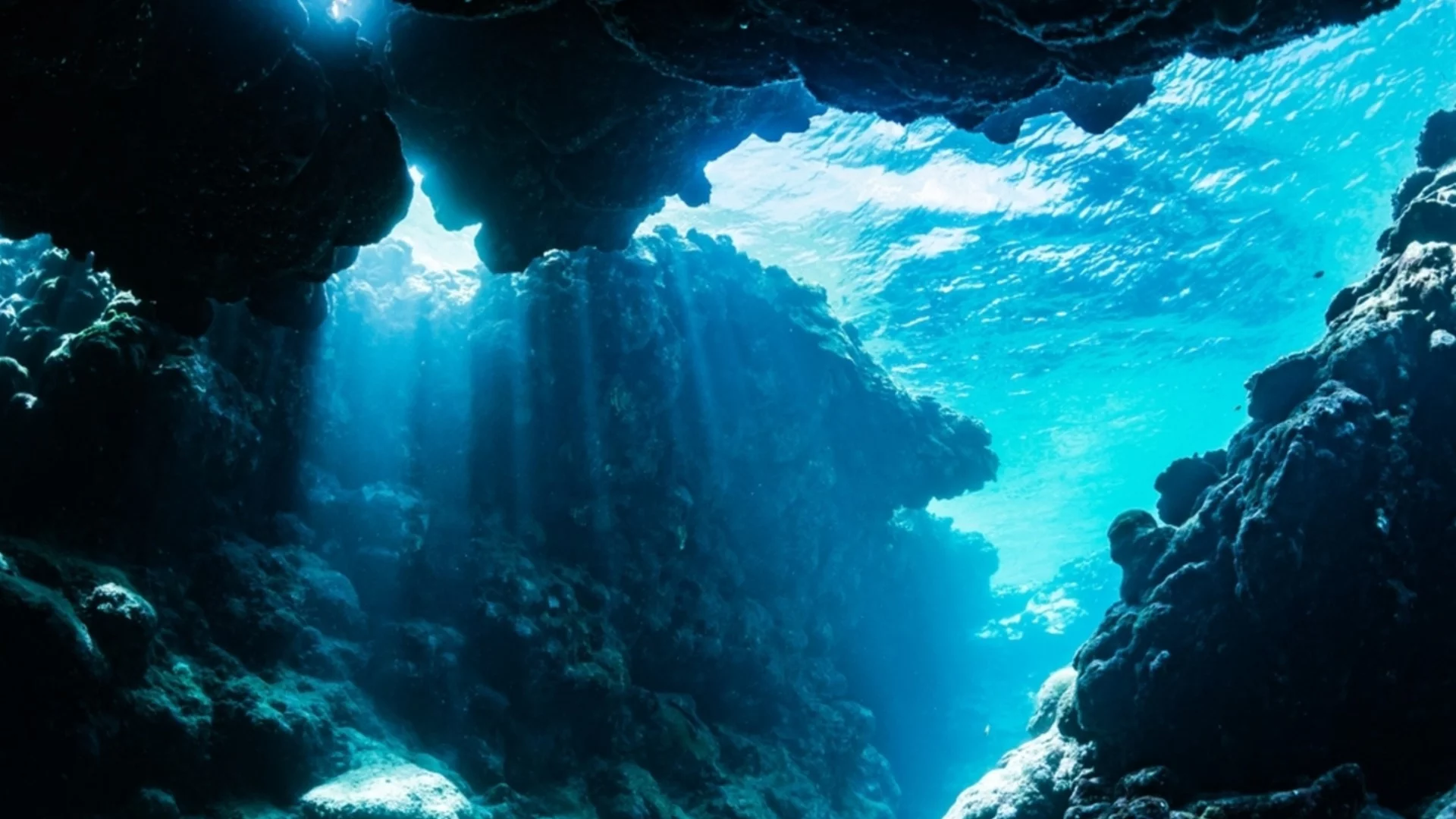 Учени откриха 15-метрово същество на дълбочина 6000 м в океана