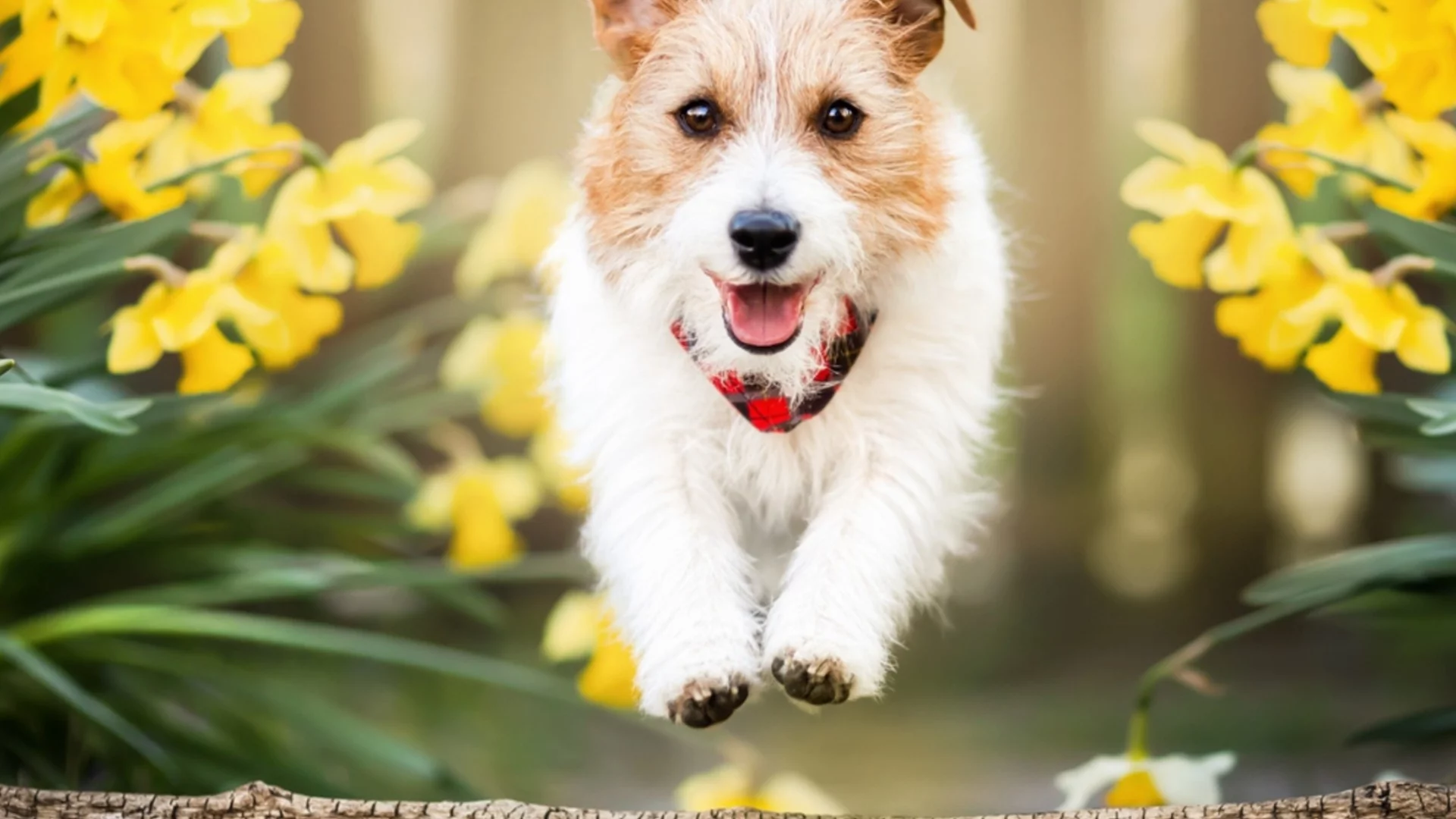 Времето утре - 26 март 2026 г. 