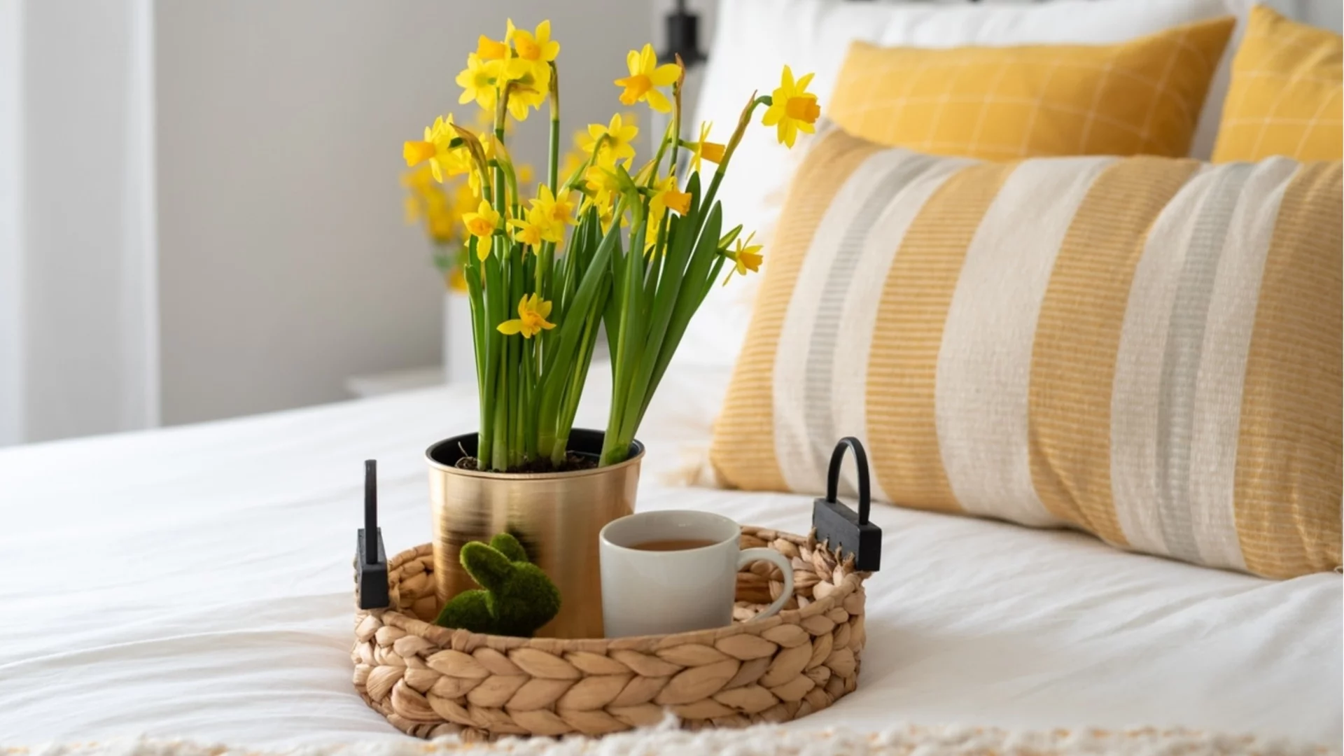 Лесен начин да отглеждате красиви нарциси на закрито със стар буркан