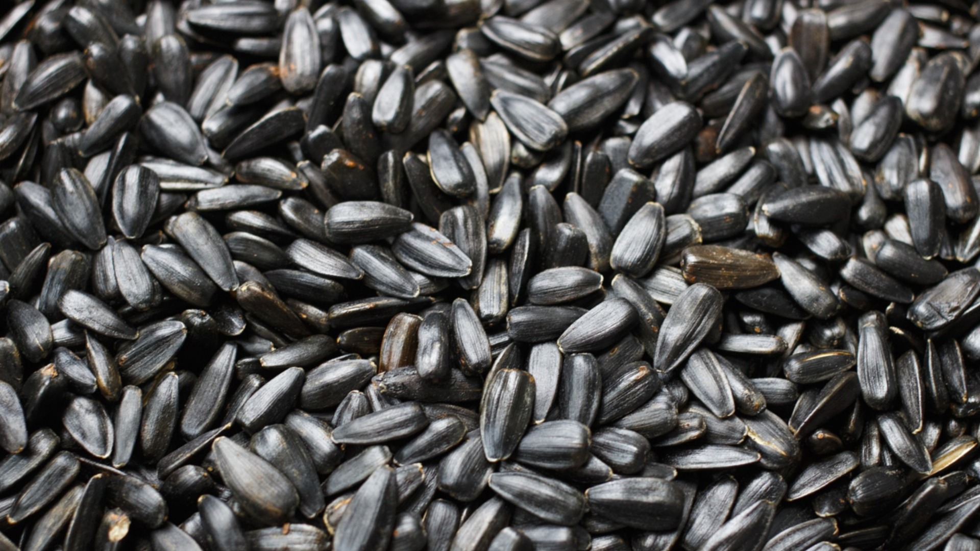 Зърнопроизводителите алармират: 4 кораба с аржентински слънчоглед, и 4-те с пестициди над нормата