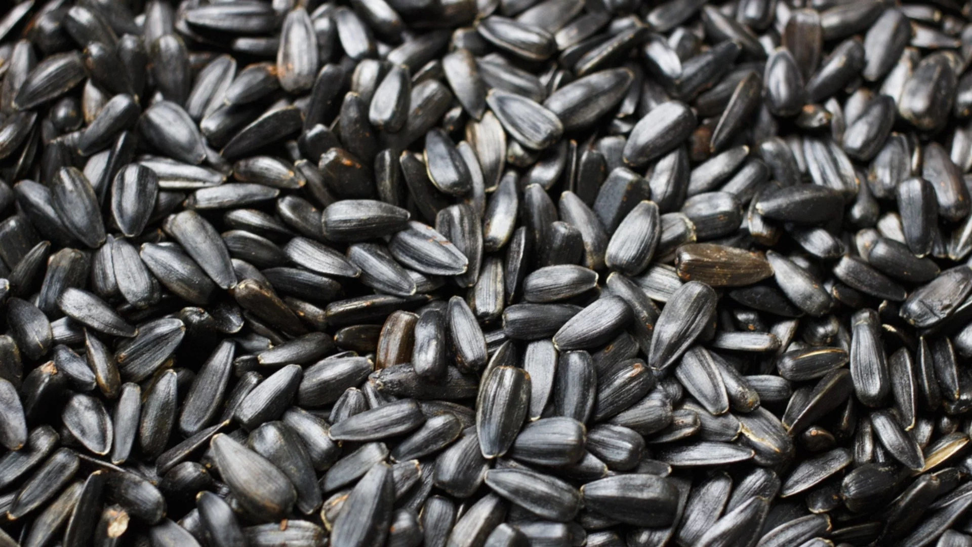 Зърнопроизводителите алармират: 4 кораба с аржентински слънчоглед, и 4-те с пестициди над нормата