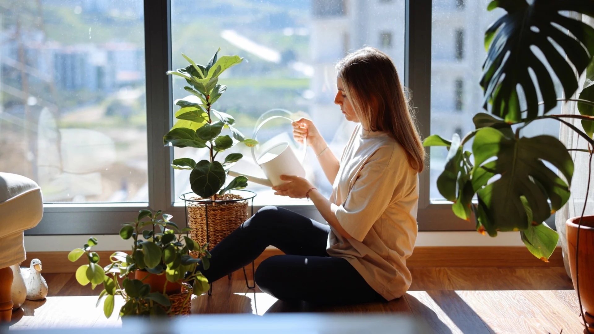 Ето от колко светлина се нуждаят наистина растенията у дома