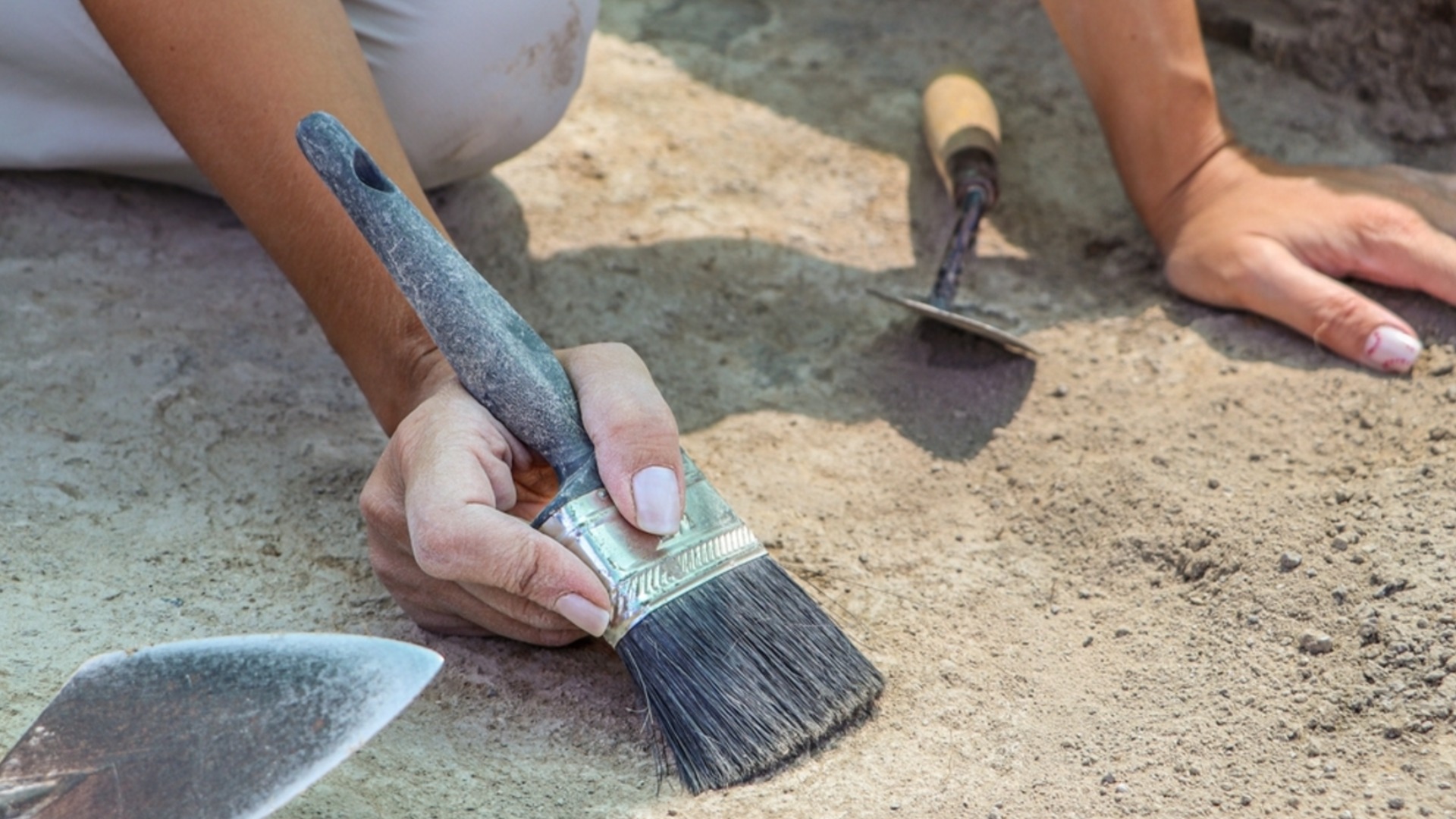 Археолози предполагат, че са открили останките на Д'Артанян от Тримата мускетари“
