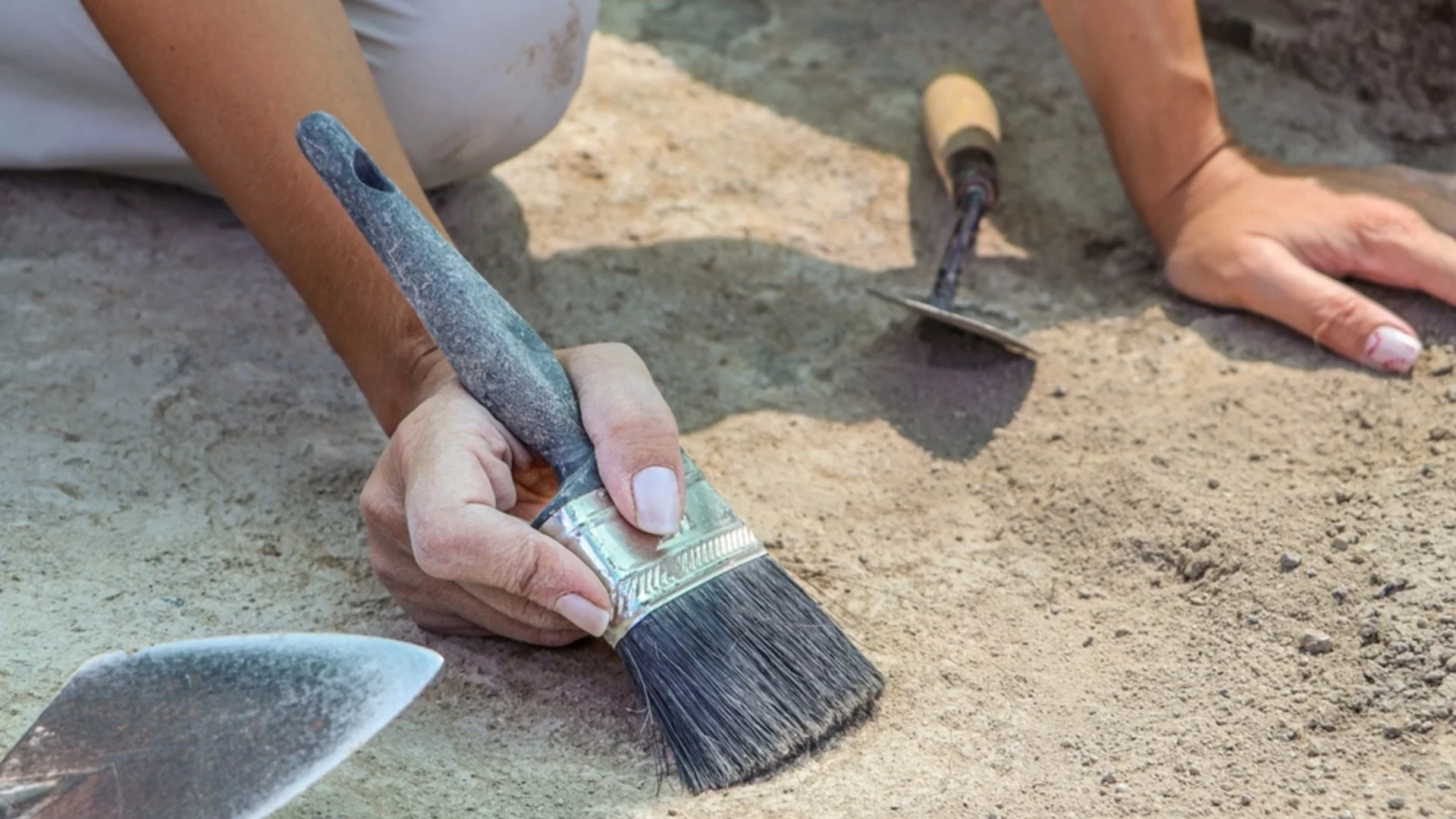Археолози предполагат, че са открили останките на Д'Артанян от Тримата мускетари“
