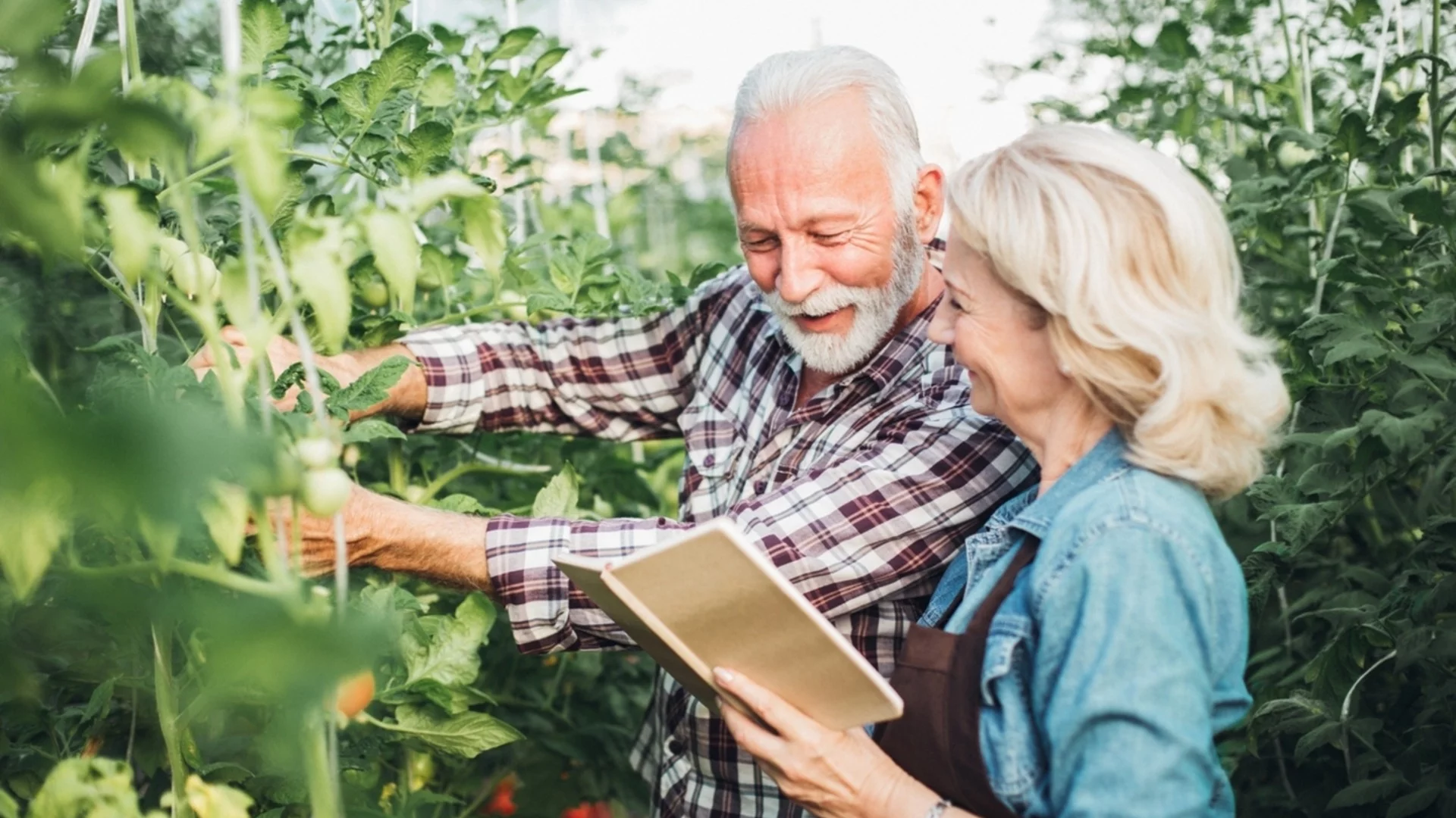 Какво е съпътстващо засаждане и как то е от полза за вашата градина?