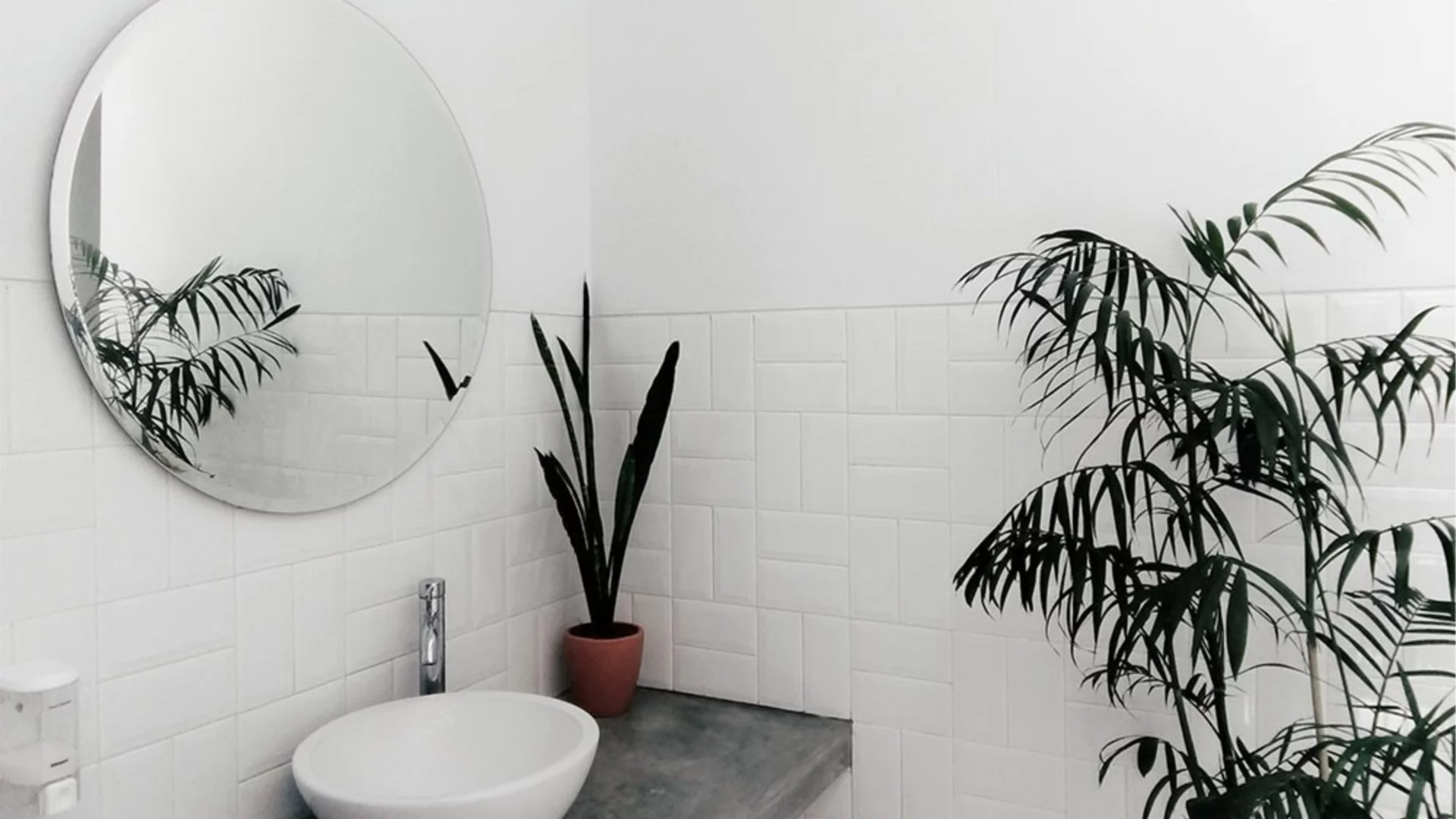 Как да подредим баня, която носи щастие? Фън Шуй подчертава ключови елементи и какво да променим за повече пари