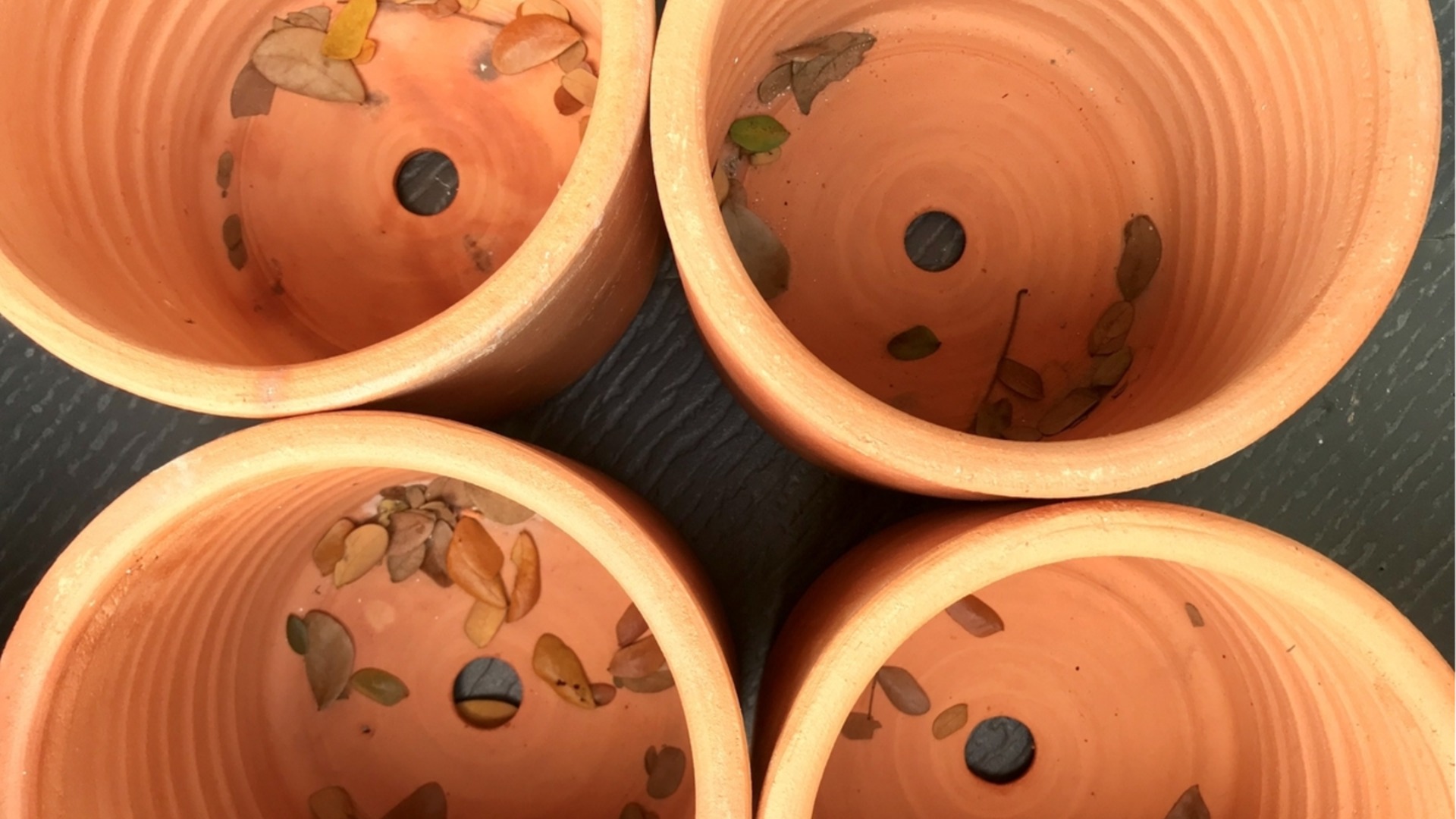 Най-лесният начин да добавите дренажни отвори към саксиите си за растения