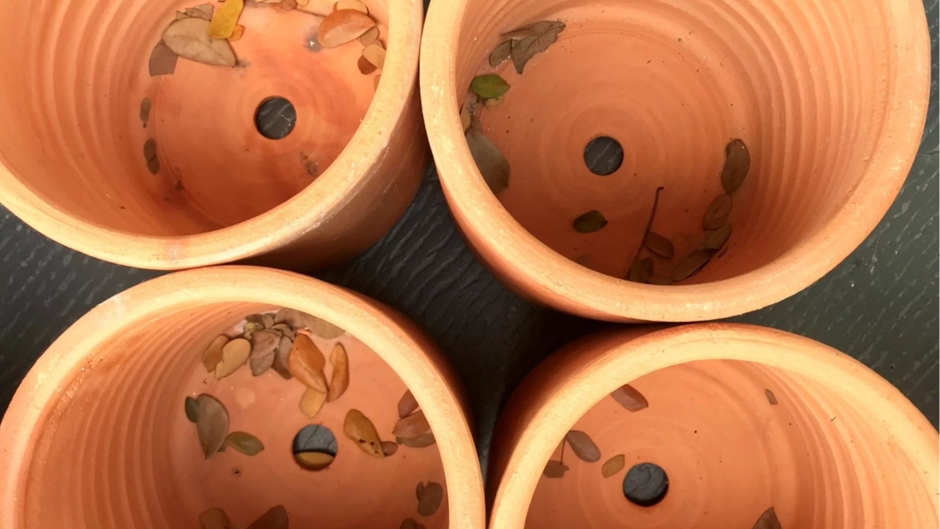 Най-лесният начин да добавите дренажни отвори към саксиите си за растения 