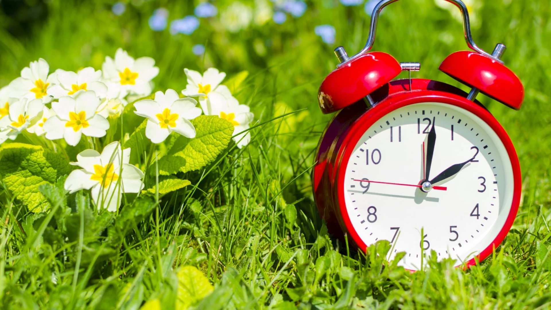 Хороскоп за утре, 29 март: Лятното часово време носи щастие на Овните, но Скорпионите ще останат в зимата на ядовете