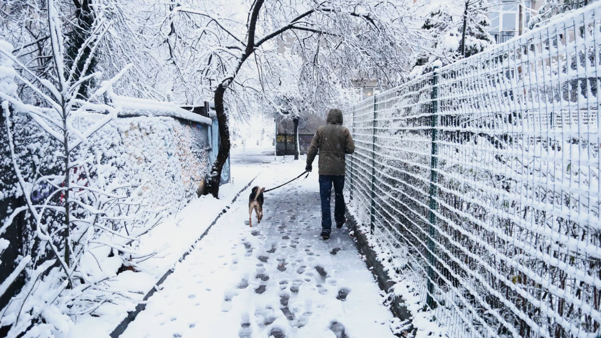 Пролетен обрат: Сняг идва към София