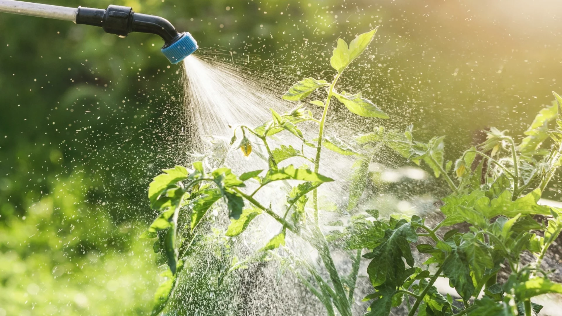 В понеделник: Дева, Водолей + още 2 зодии ще докажат, че „след дъжд иде берекет“