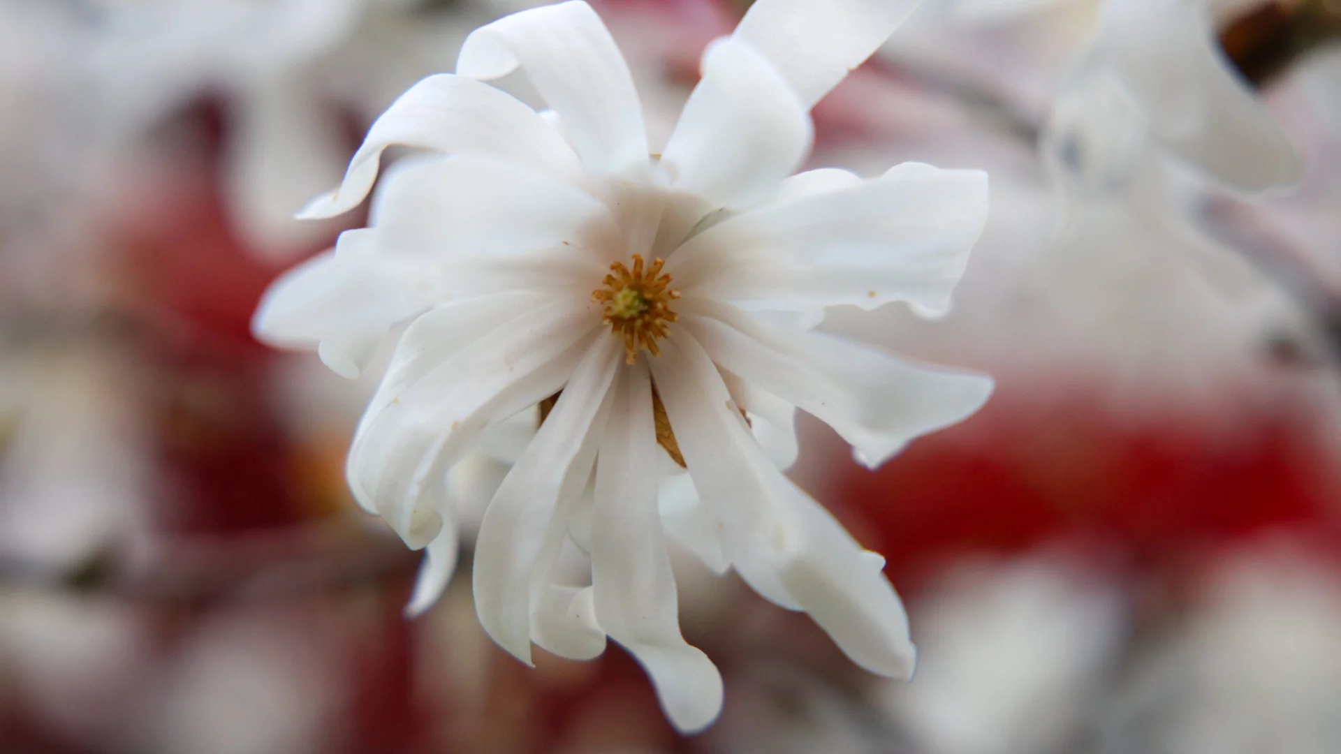 Сняг, дъжд или слънце? Времето утре - 28 март 2026 г. 