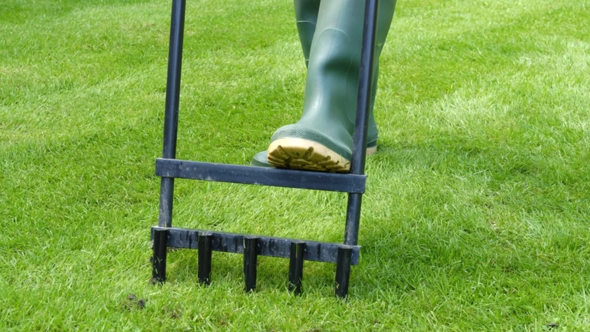 Колко често да презасявате или пресявате тревата си за здрава и буйна морава