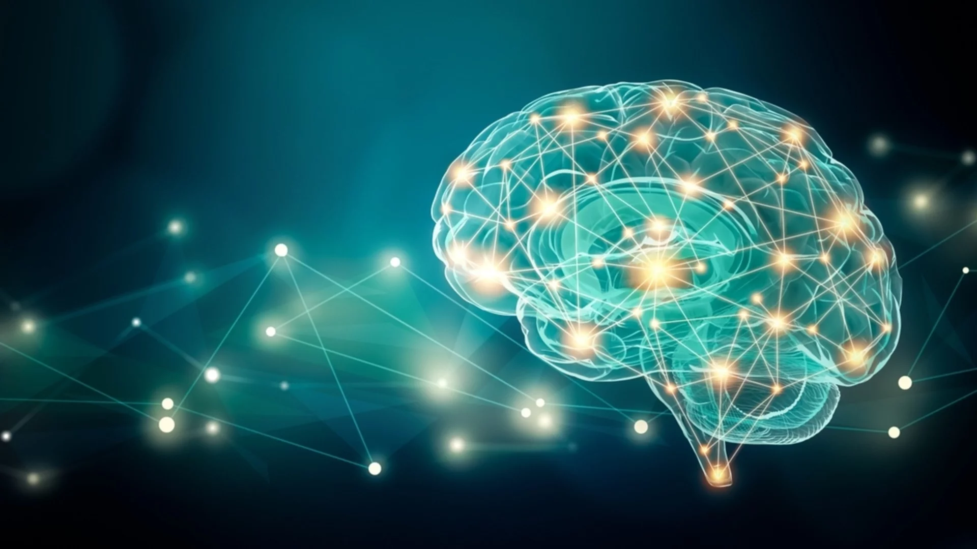 Атлас на човешкия мозък: Ето кои са моделите на "мозъчно бърборене"