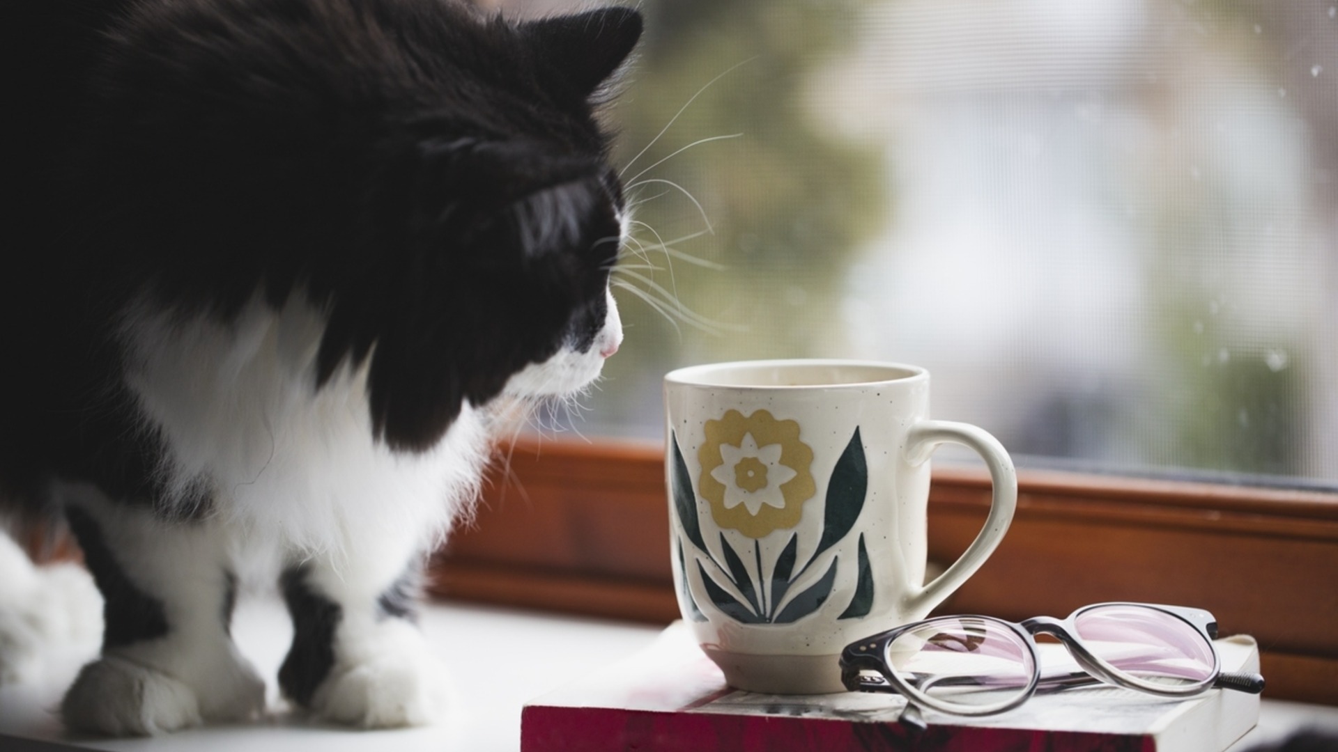 Прогноза за времето - 28 март 2026 г. (събота)