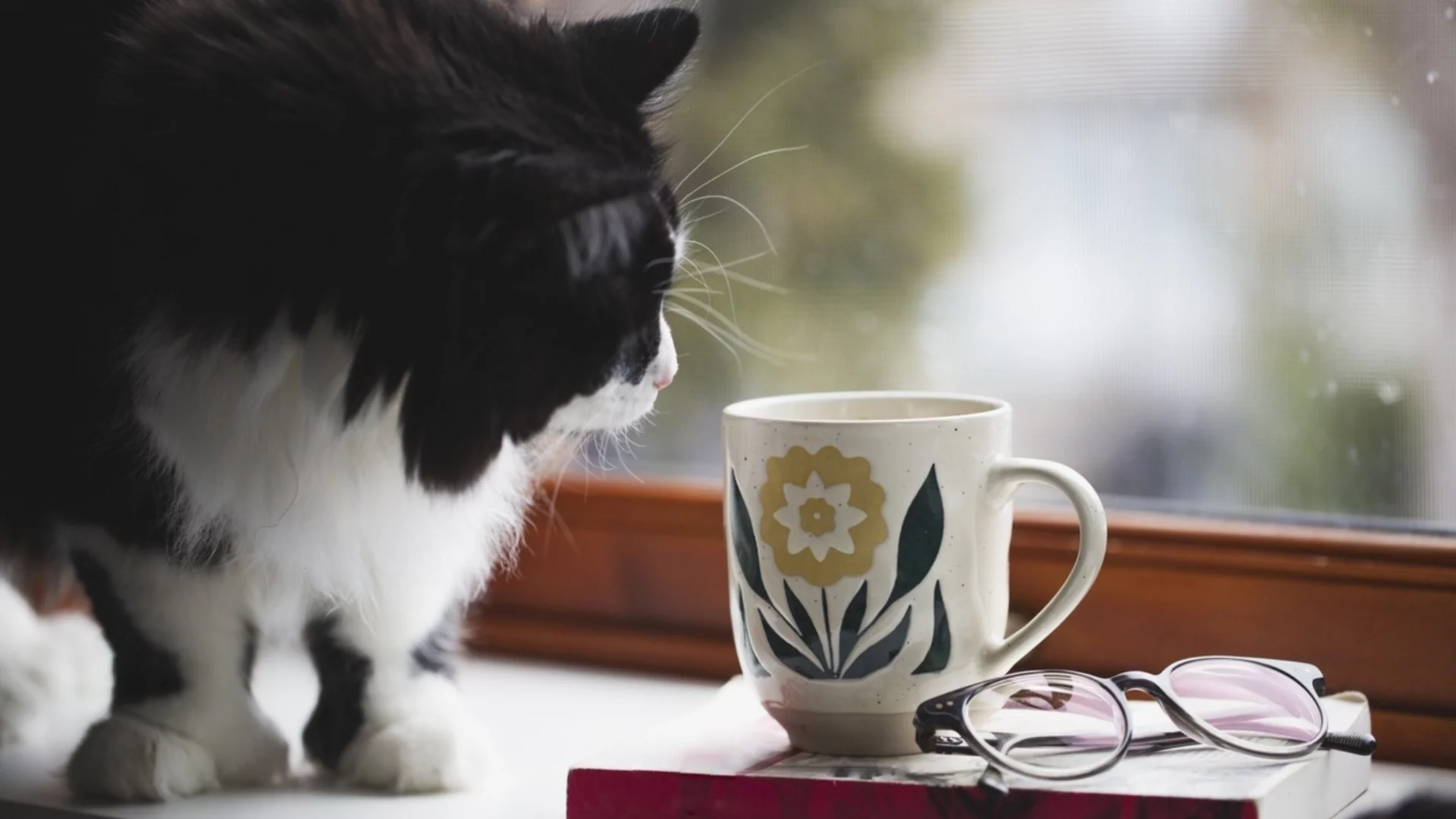 Прогноза за времето - 28 март 2026 г. (събота)