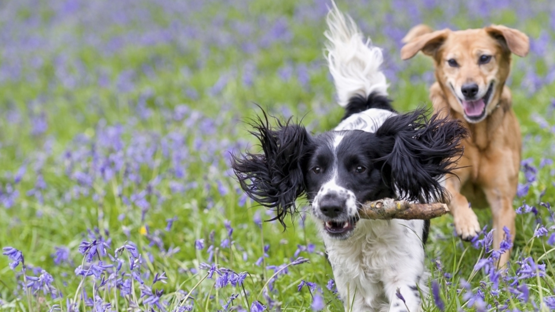 Седмична прогноза за времето от 30 март до 5 април 2026 г.