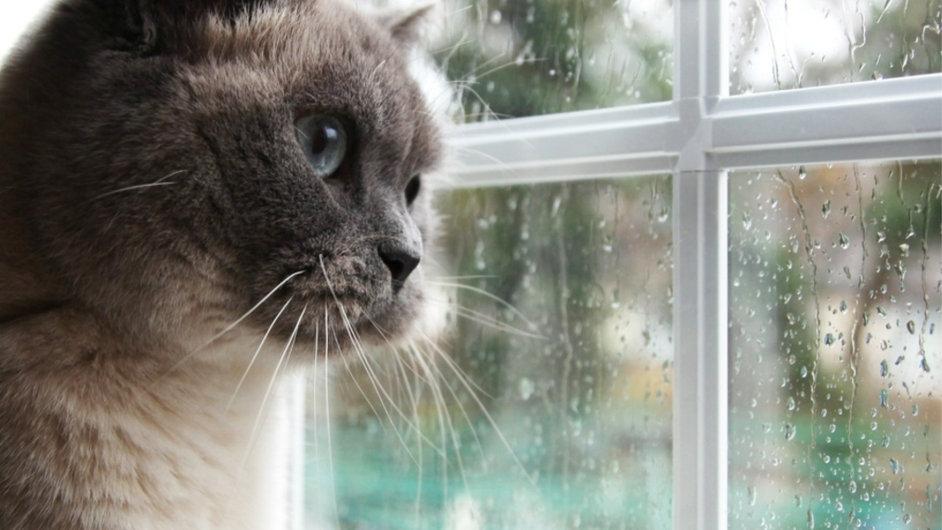 Прогноза за времето - 30 март 2026 г. (понеделник)