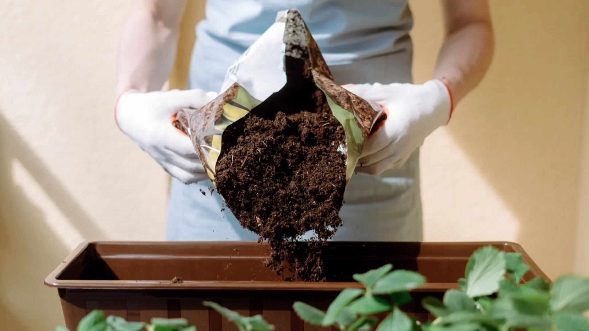 Каква почва е най-подходяща за здрав разсад