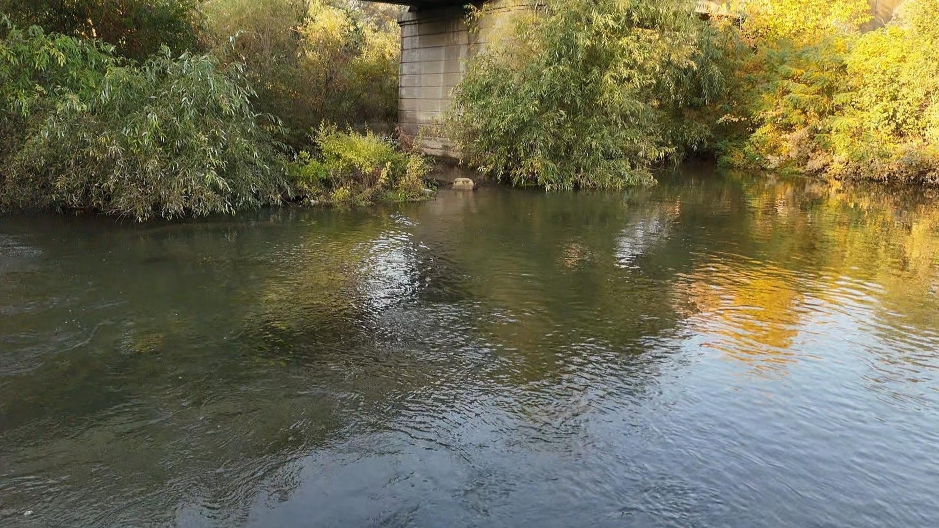 Река преля в Търговищко, има опасност от наводнение