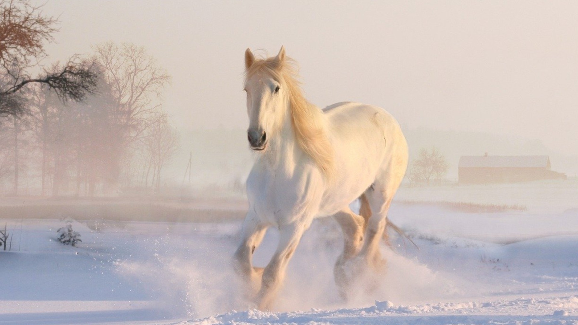 Хороскоп за днес, 31 март: Последният ден на март качва Близнаците на бял кон, а Стрелците ще покажат магарешкия си инат