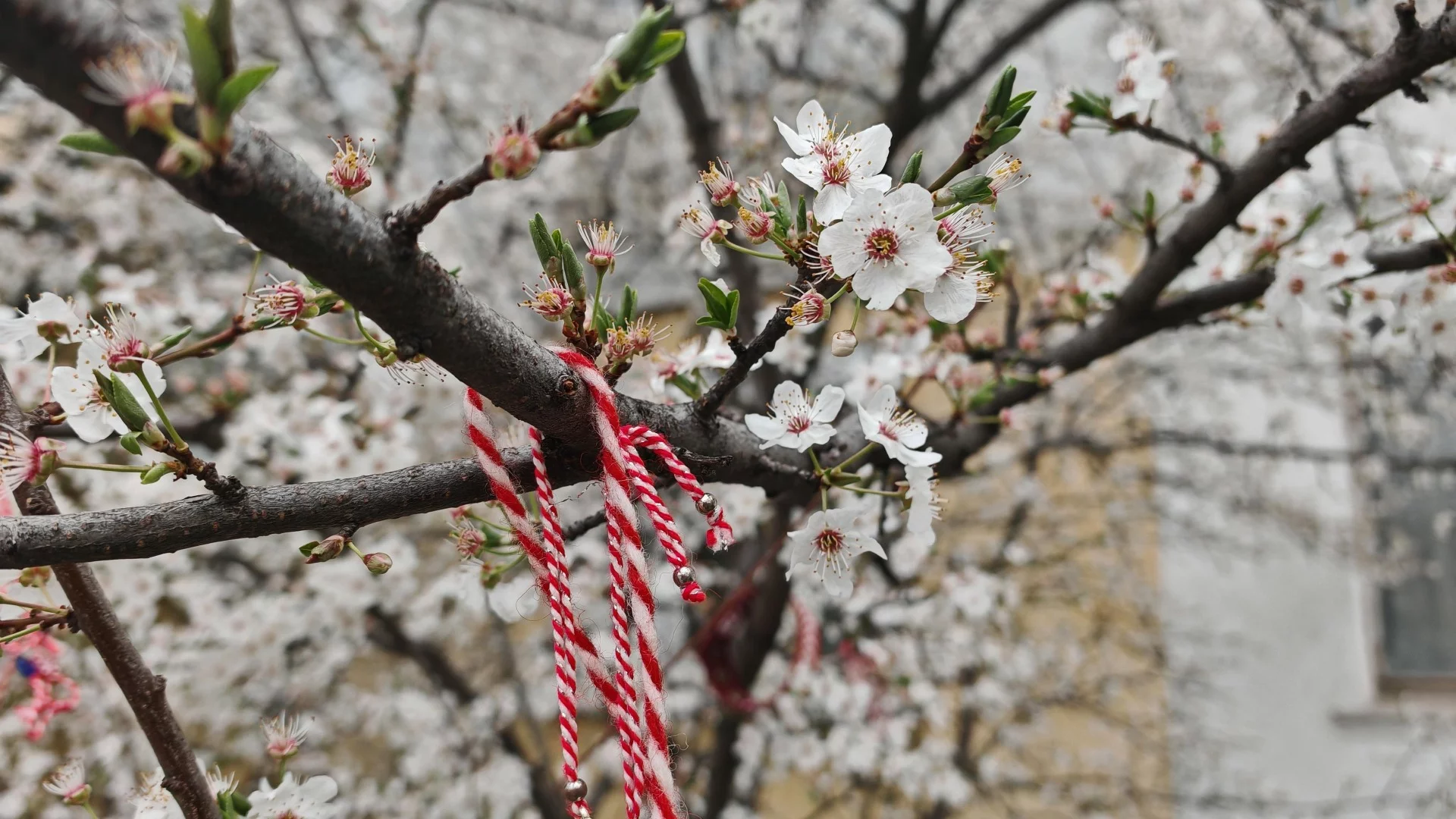 Неустойчиво време до Великден: Николай Василковски прогнозира кога идва истинската пролет