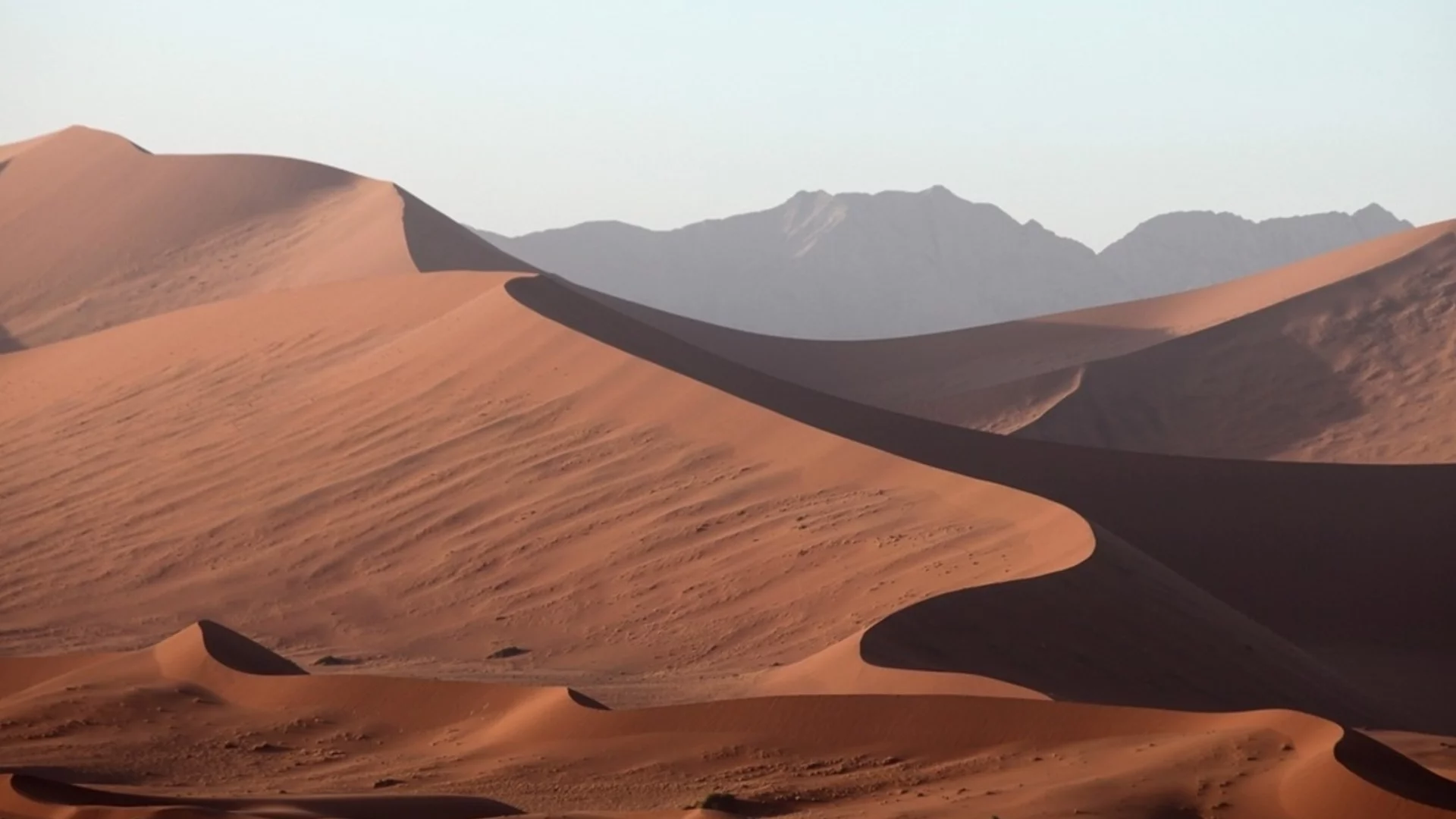 Учени откриха праисторическа гробница в Сахара, която ги изненада