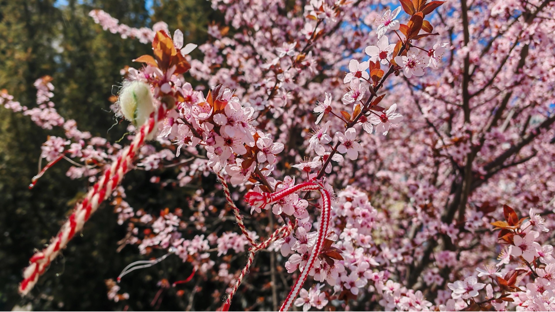 Прогноза за времето - 31 март 2026 г. (вторник)
