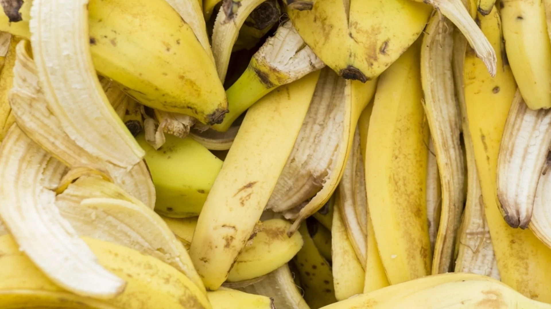 Как лесно да обогатите почвата в градината с калий