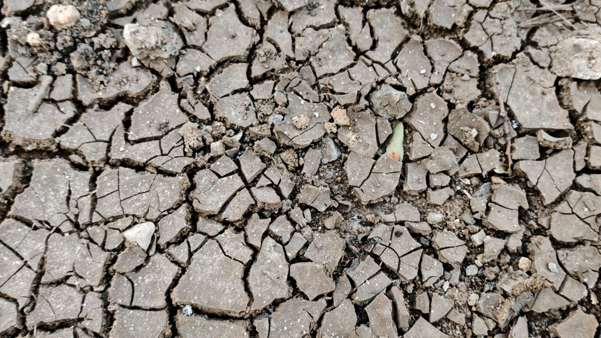 Екоминистърът очаква режим на водата и през тази година