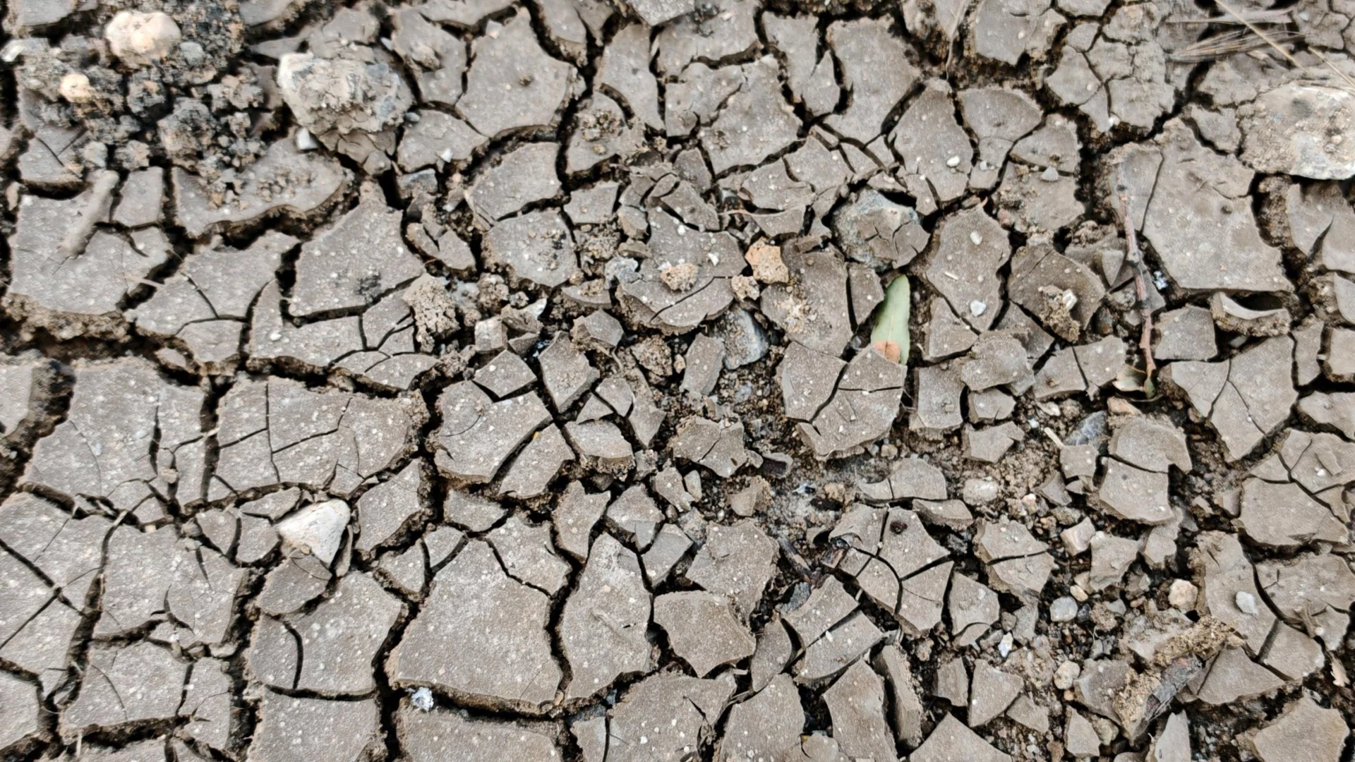 Екоминистърът очаква режим на водата и през тази година